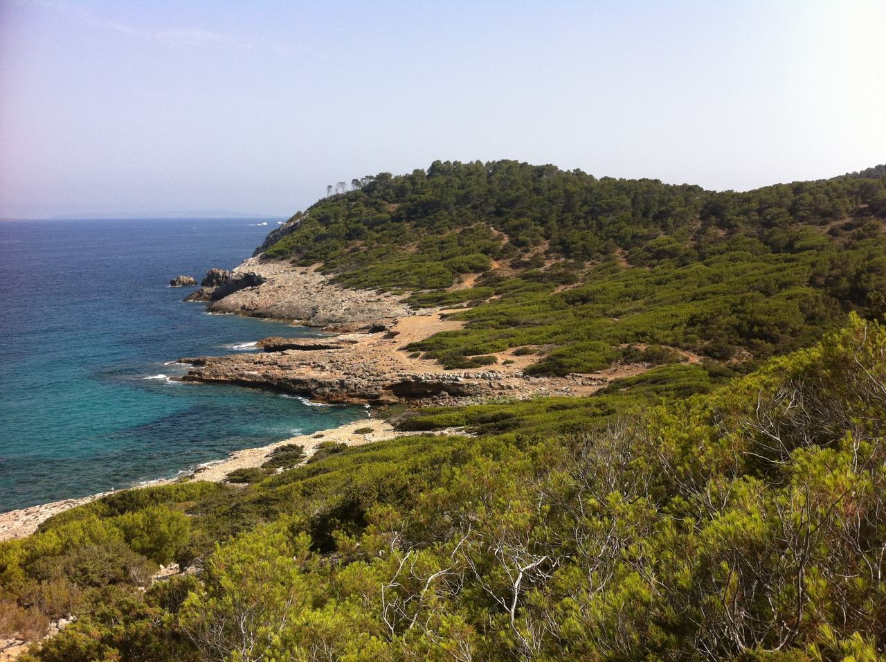 Skalnaté pobřeží s tyrkysovým mořem a zalesněnými kopci na Ibize.