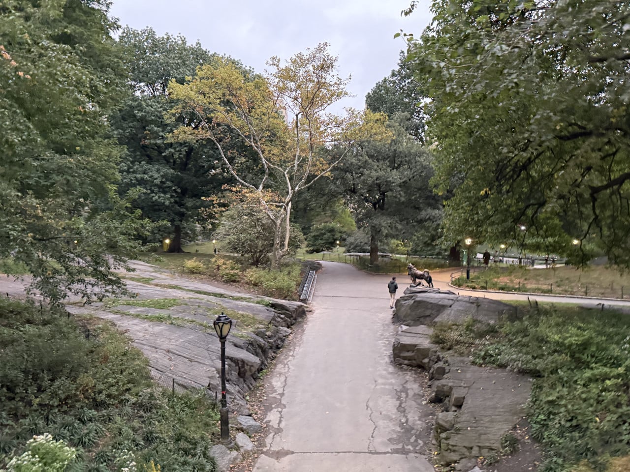 Pěší cesta v Central Parku s lampami, stromy a sochou koně na kameni