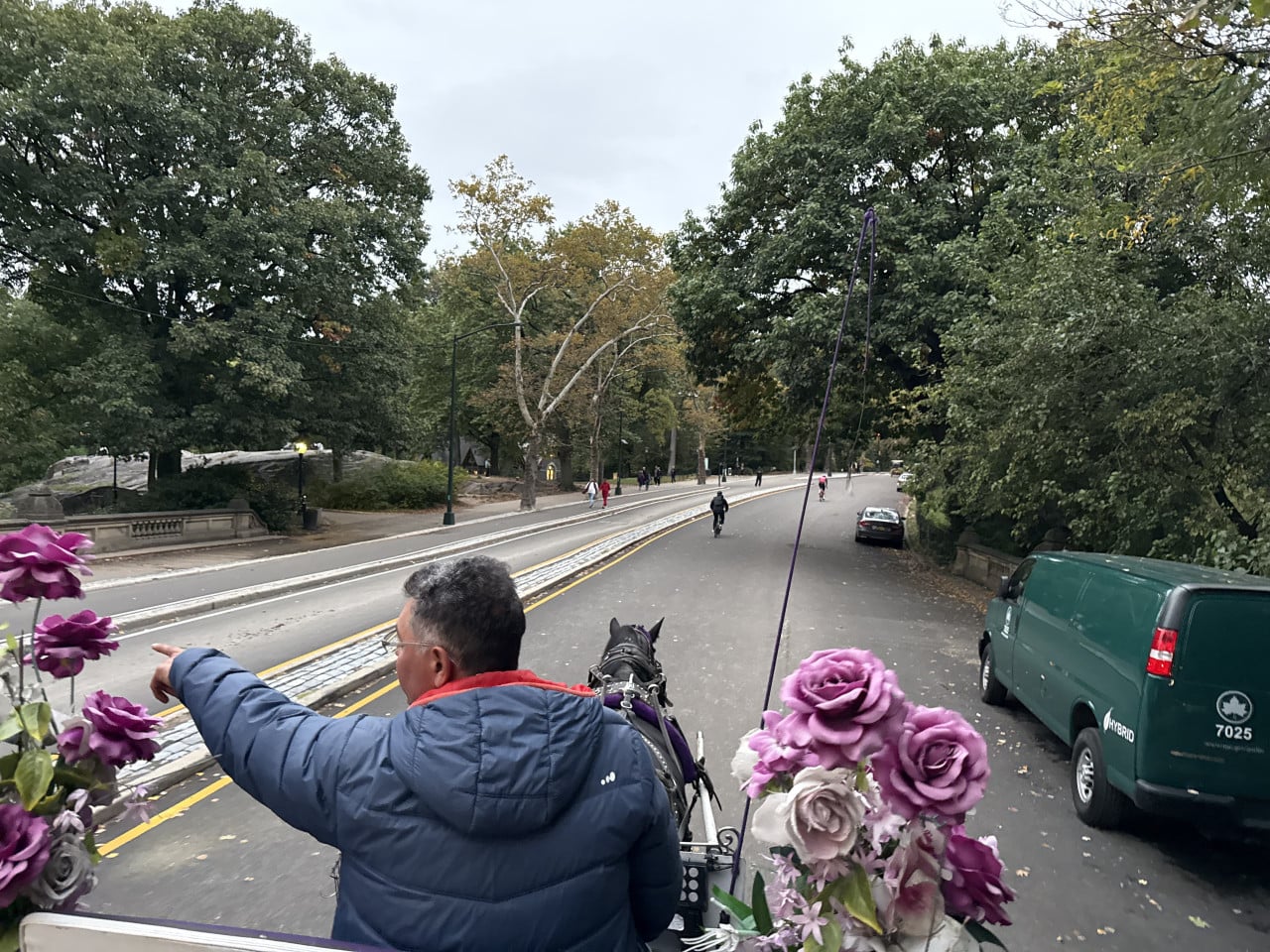 Kočár s koněm v Central Parku, muž ukazuje vpřed mezi stromy.