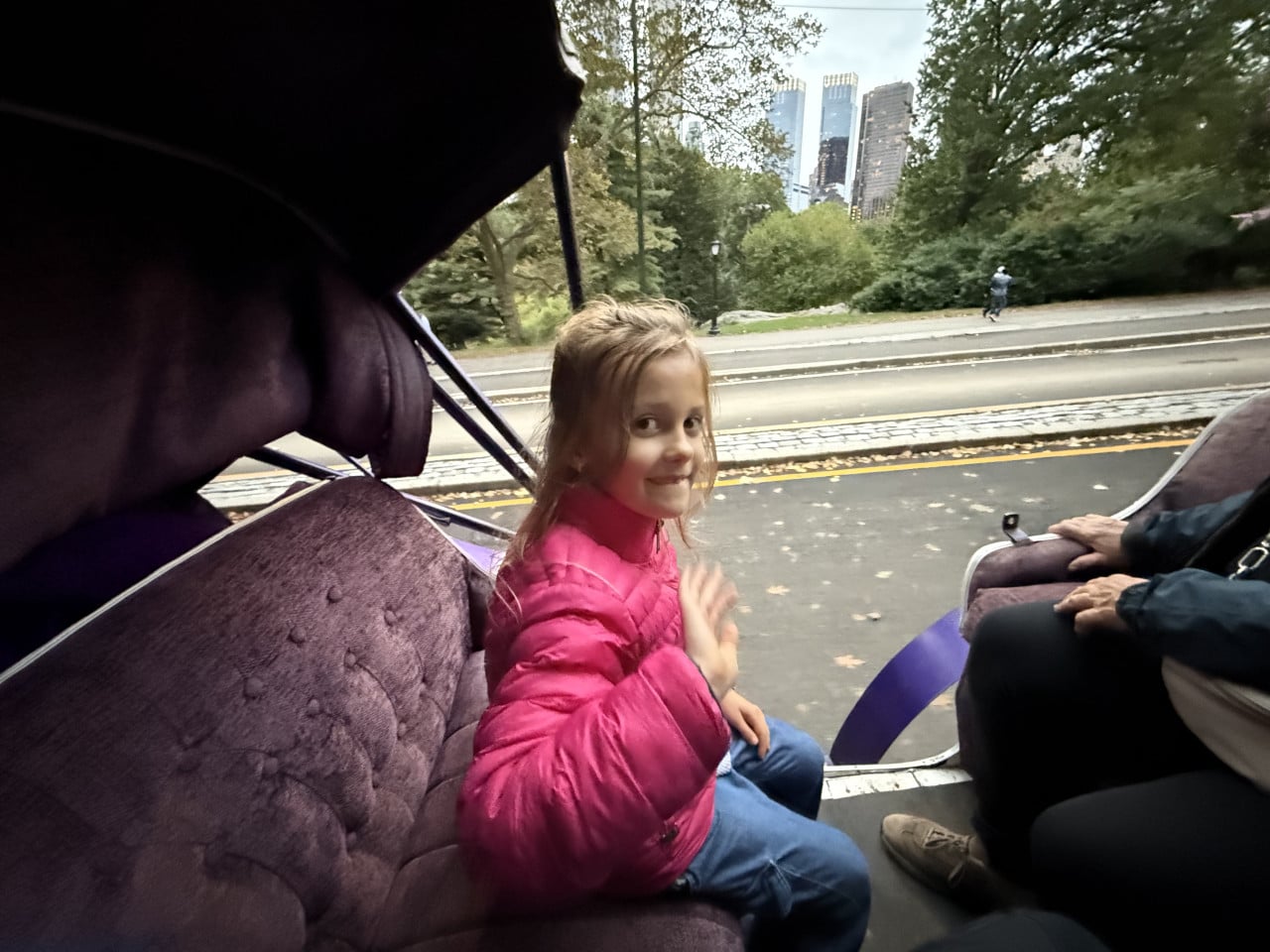 Dívka v růžové bundě jede v kočáře v Central Parku.