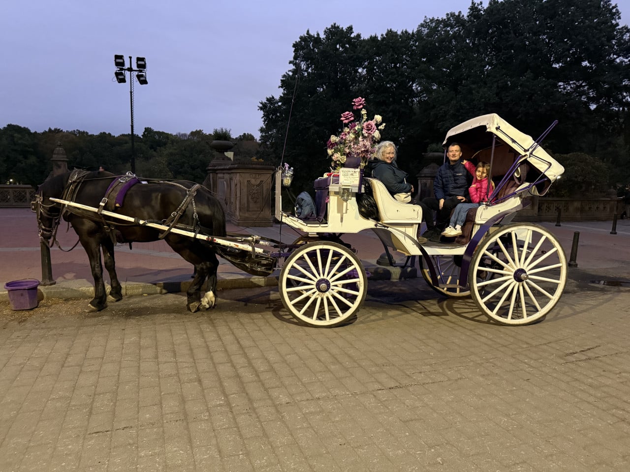 Kočár s koněm v Central Parku, tři lidé sedí uvnitř za soumraku