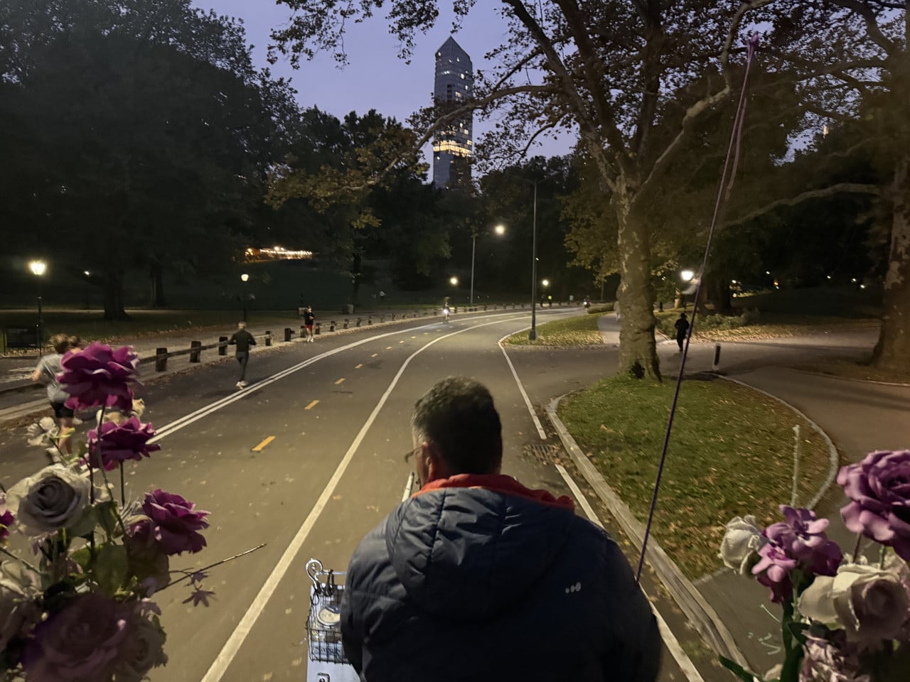 Jízda kočárem v Central Parku za soumraku, pohled zezadu na kočího.