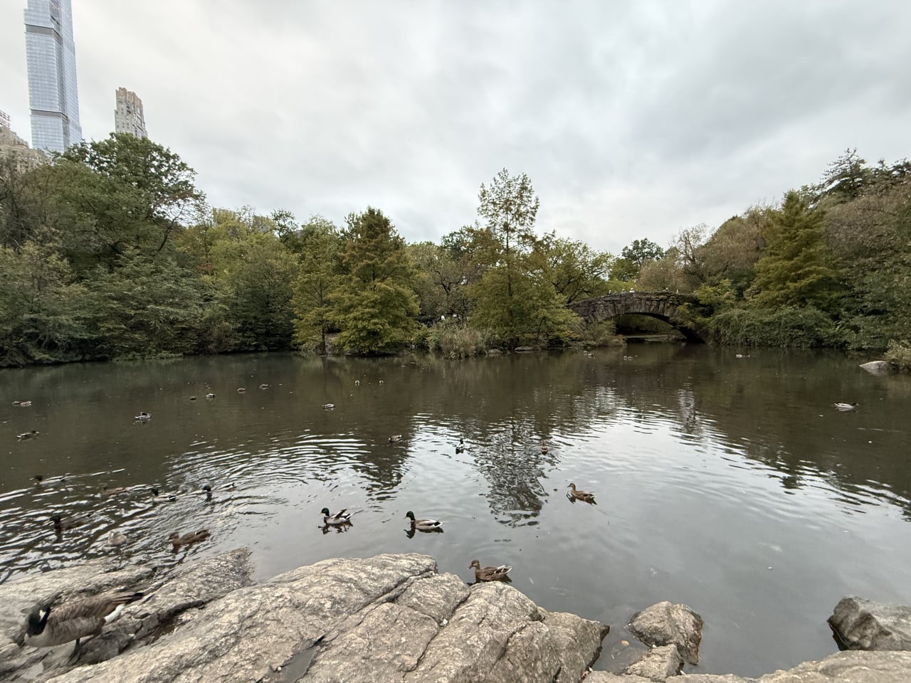 Jezero v Central Parku s kachnami, kamenným mostem a výhledem na mrakodrapy