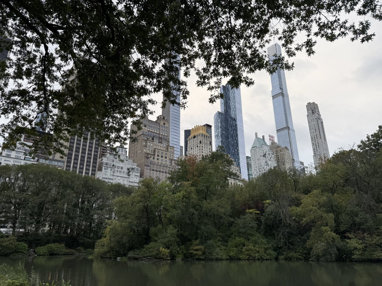 Pohled na Central Park s jezírkem a mrakodrapy za stromy