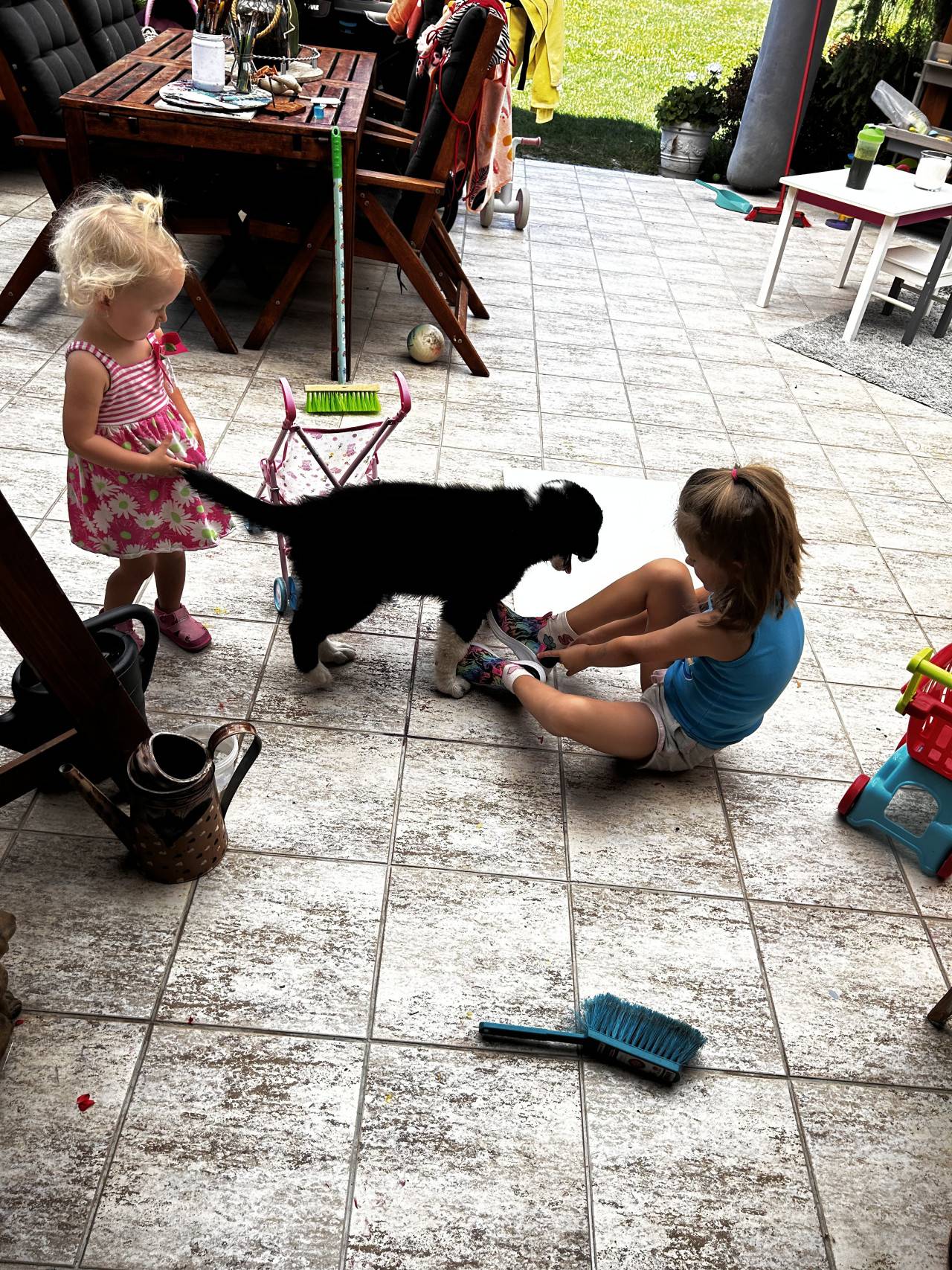 Dvě malé holčičky si na terase hrají s černobílým štěnětem ovčáka.
