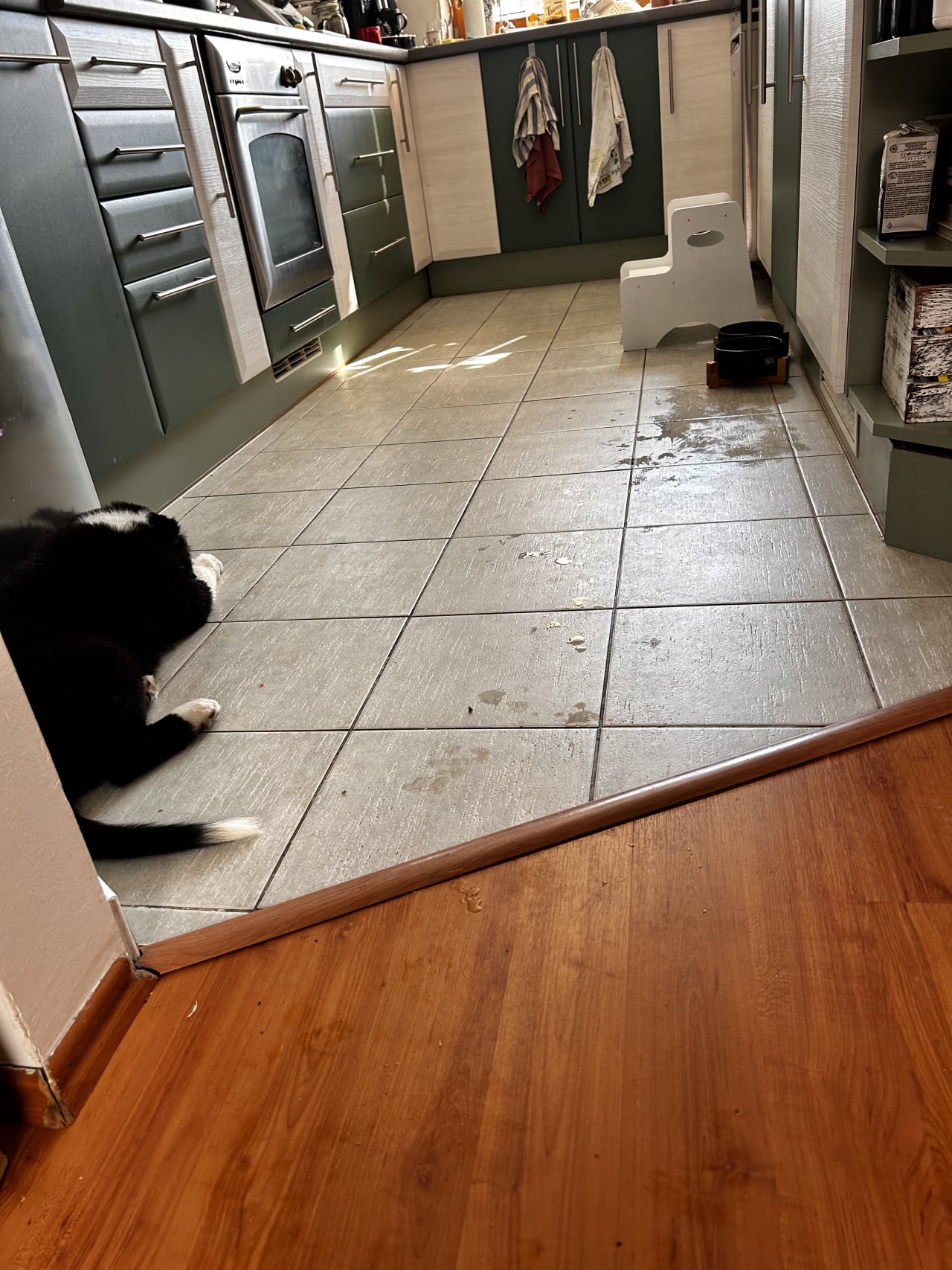 Australský ovčák leží na dlažbě v kuchyni, vedle misek a mokré podlahy.