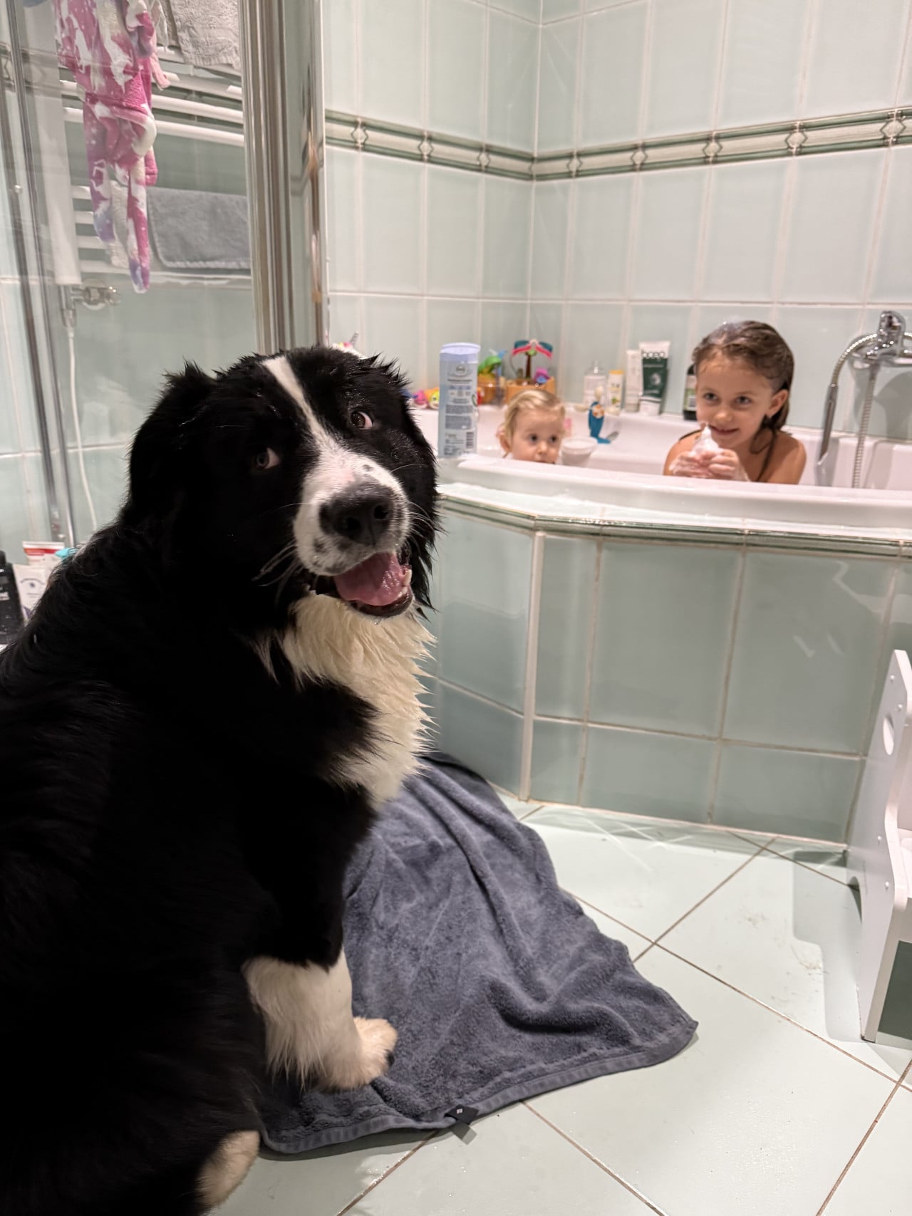 Mokrá černobílá fena sedí na ručníku, za ní dvě děti ve vaně.