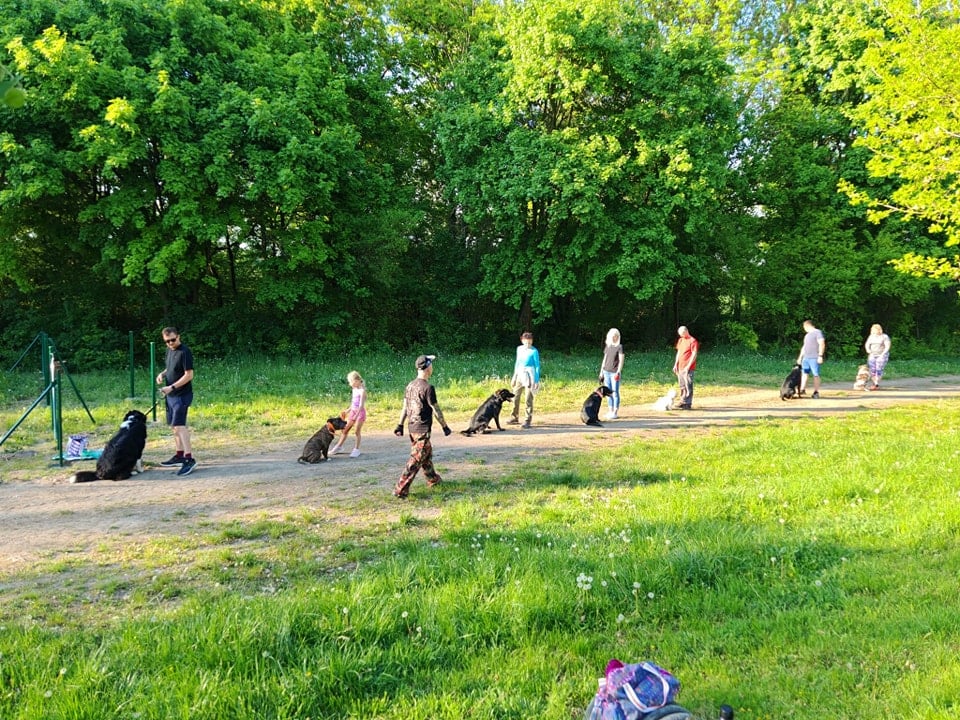 Lidé se psy na vodítku stojí na cestě u lesa v parku.