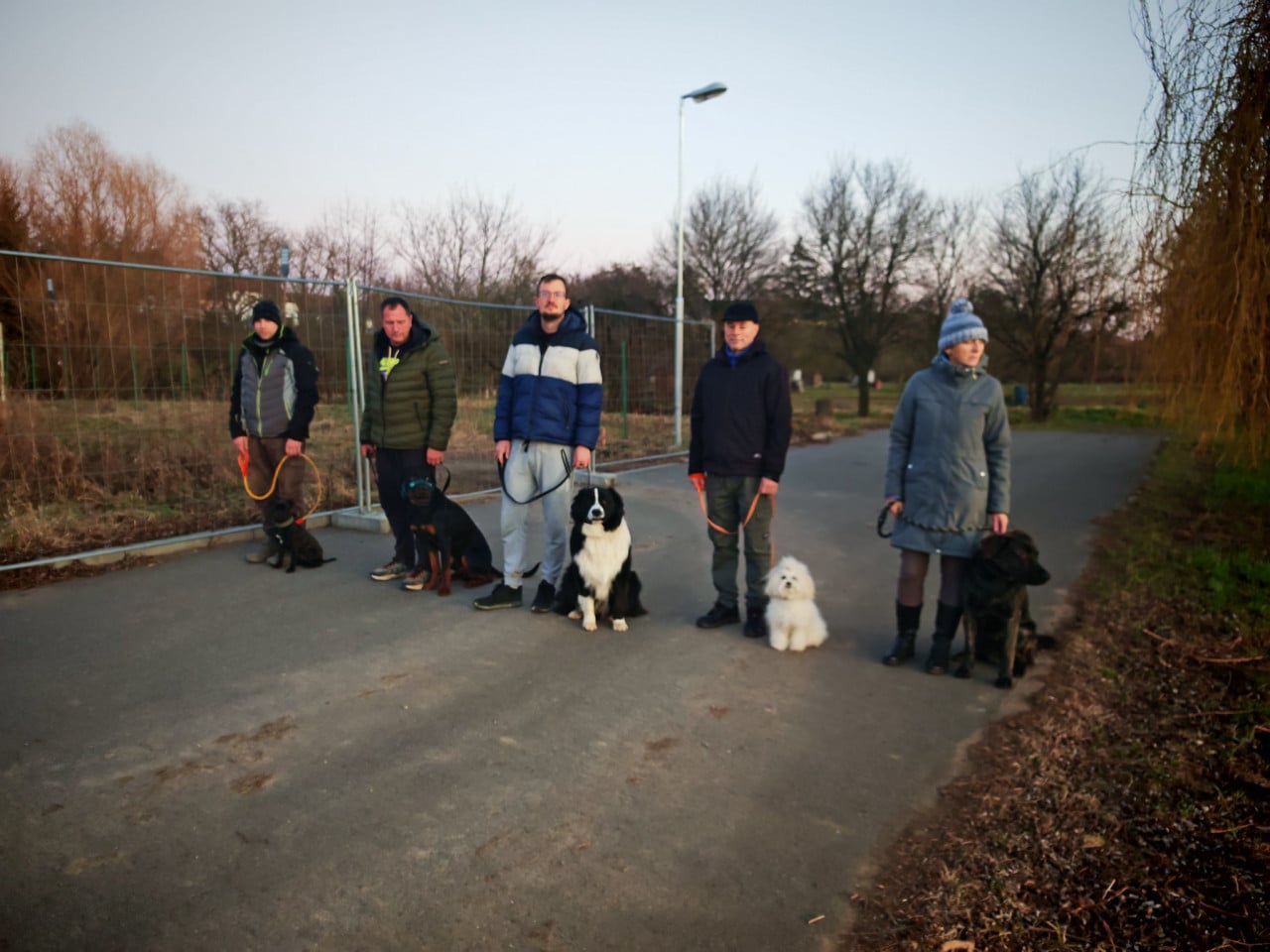 Pět lidí stojí na cestě u plotu s pěti psy na vodítkách.
