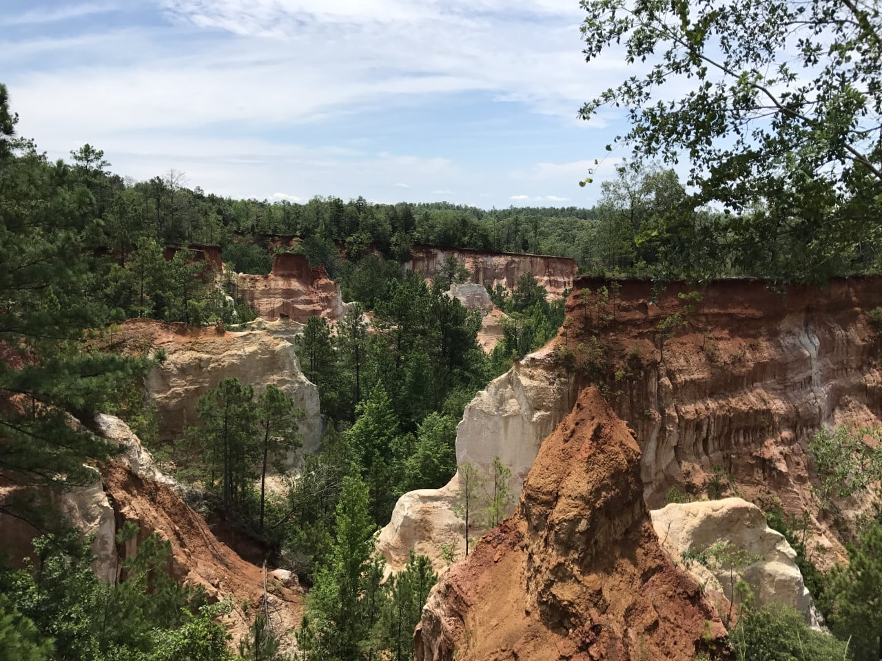 Barevný kaňon Providence Canyon s červenými a bílými skalními stěnami a borovicemi