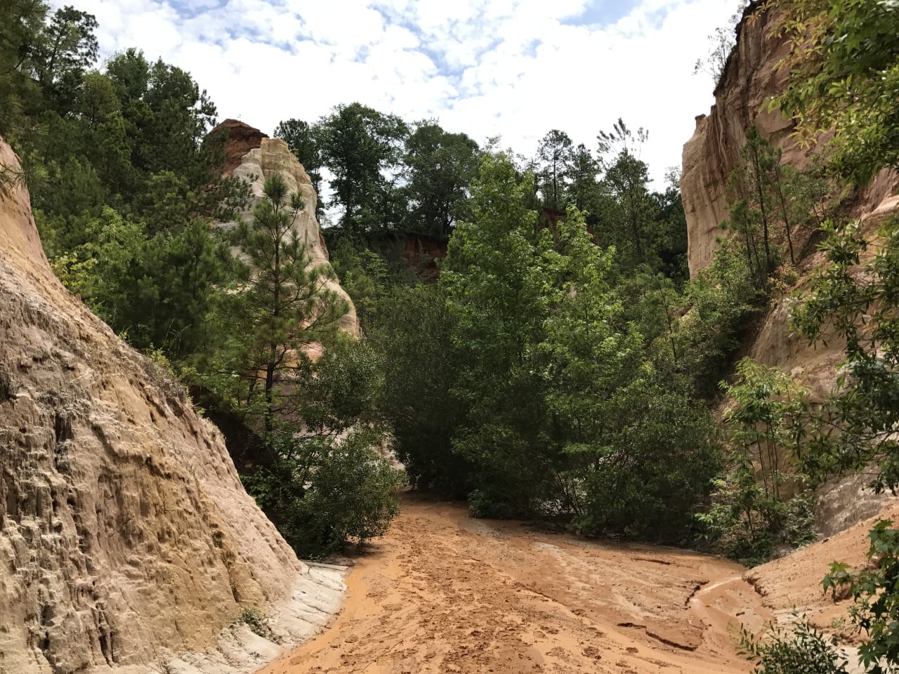Pískovcové útesy a zarostlé rokle Providence Canyon s bahnitou cestou.