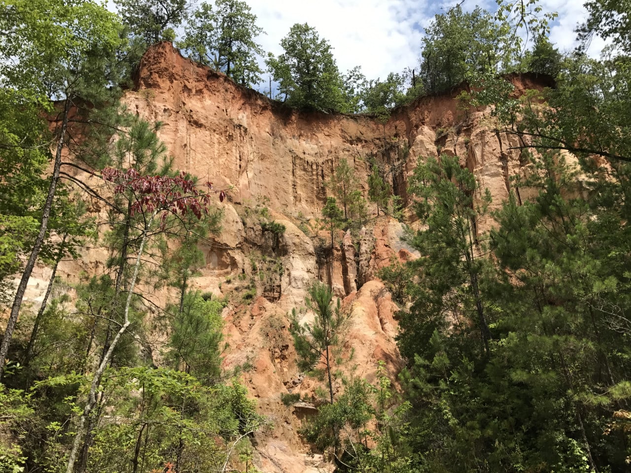 Barevné pískovcové stěny Providence Canyon obklopené zelenými stromy.