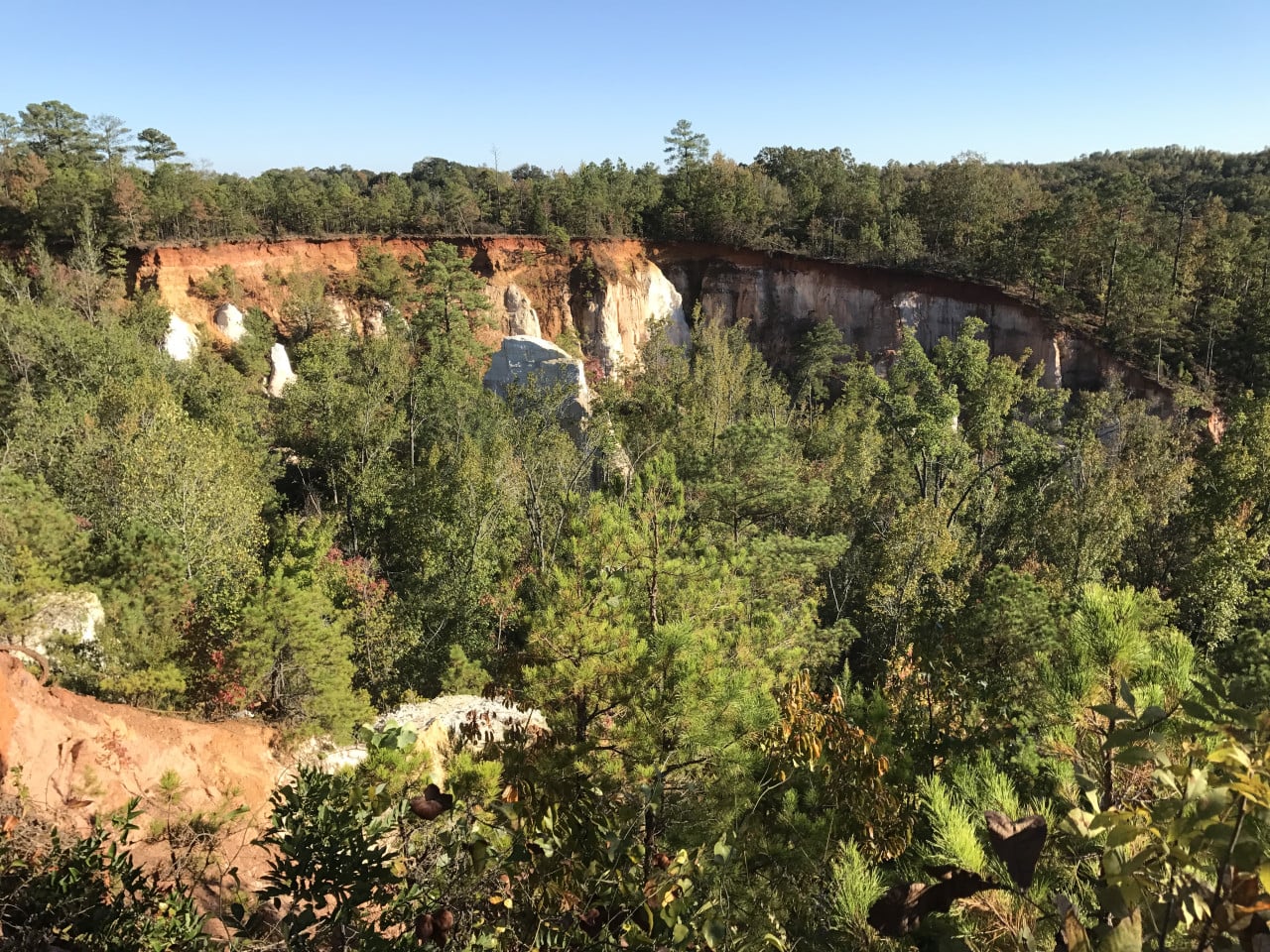 Barevné pískovcové stěny Providence Canyon obklopené hustým lesem pod modrou oblohou