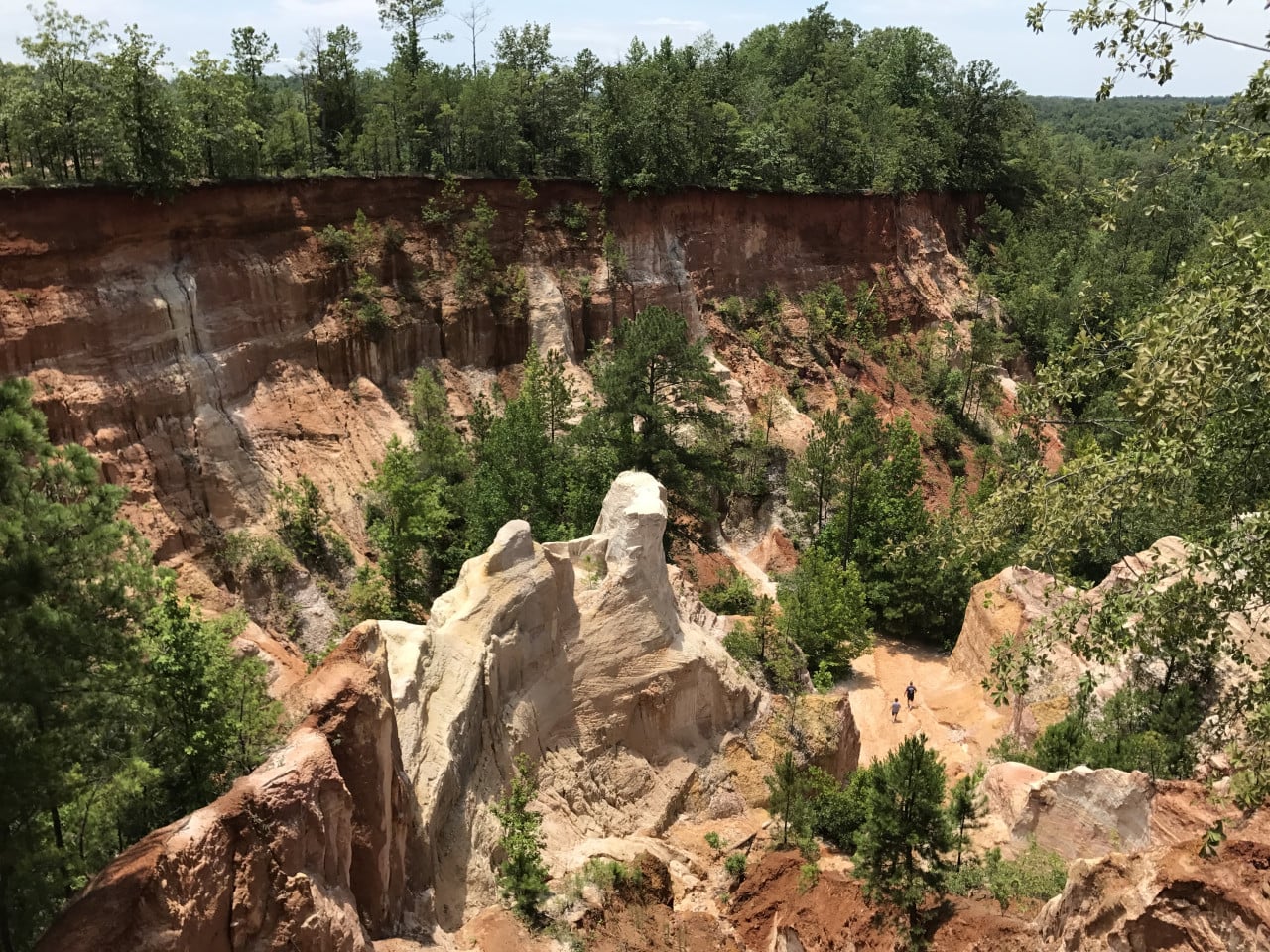 Červené a bílé kaňonové stěny Providence Canyon s hustými stromy a pěšinou dole.