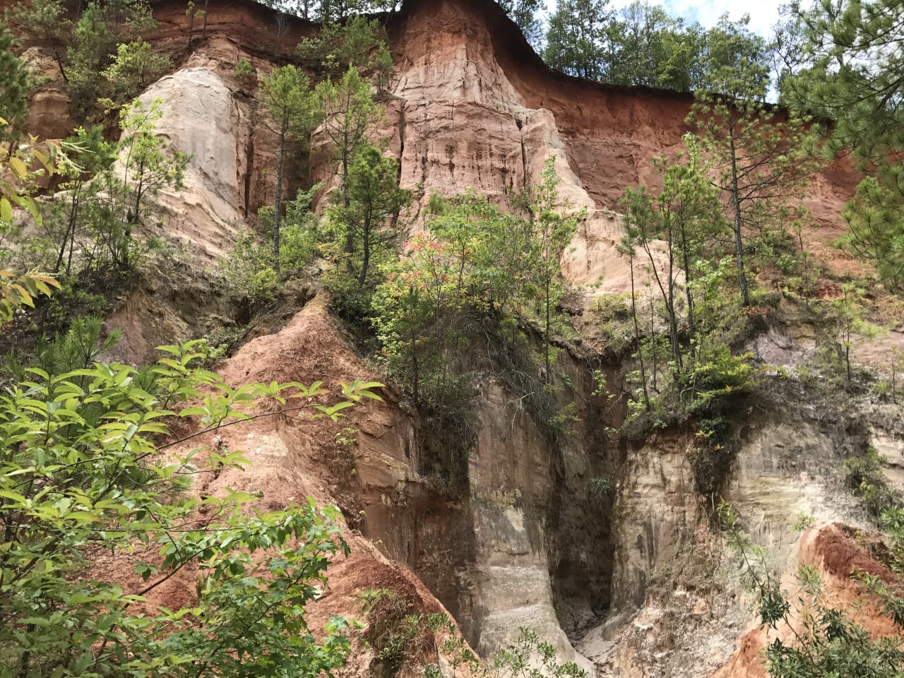 Barevné pískovcové stěny Providence Canyon s borovicemi a keři.
