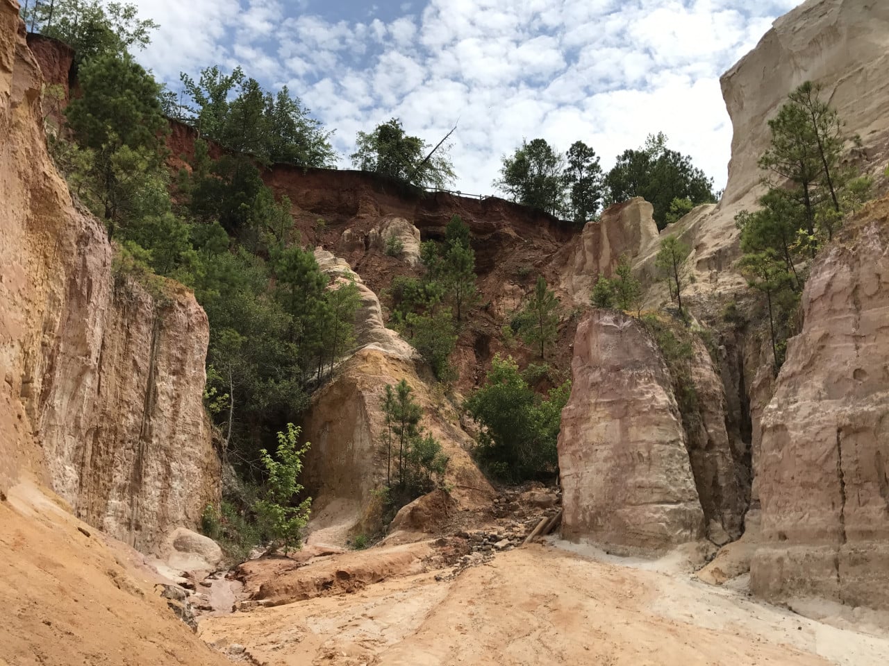 Barevné pískové stěny a skalní útvary Providence Canyon s borovicemi a oblohou.