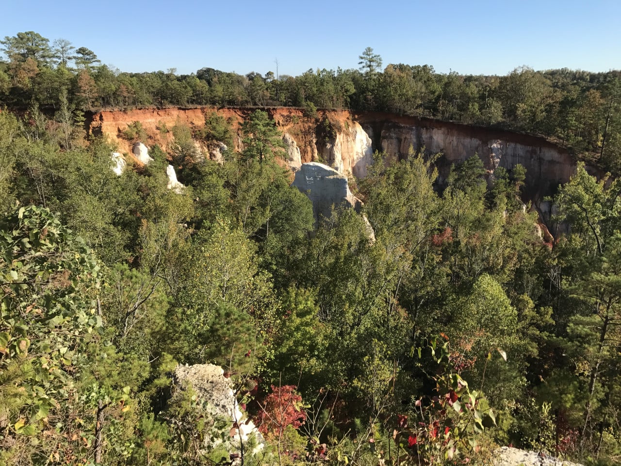 Pohled na barevné útesy Providence Canyon obklopené hustým lesem a modrou oblohou