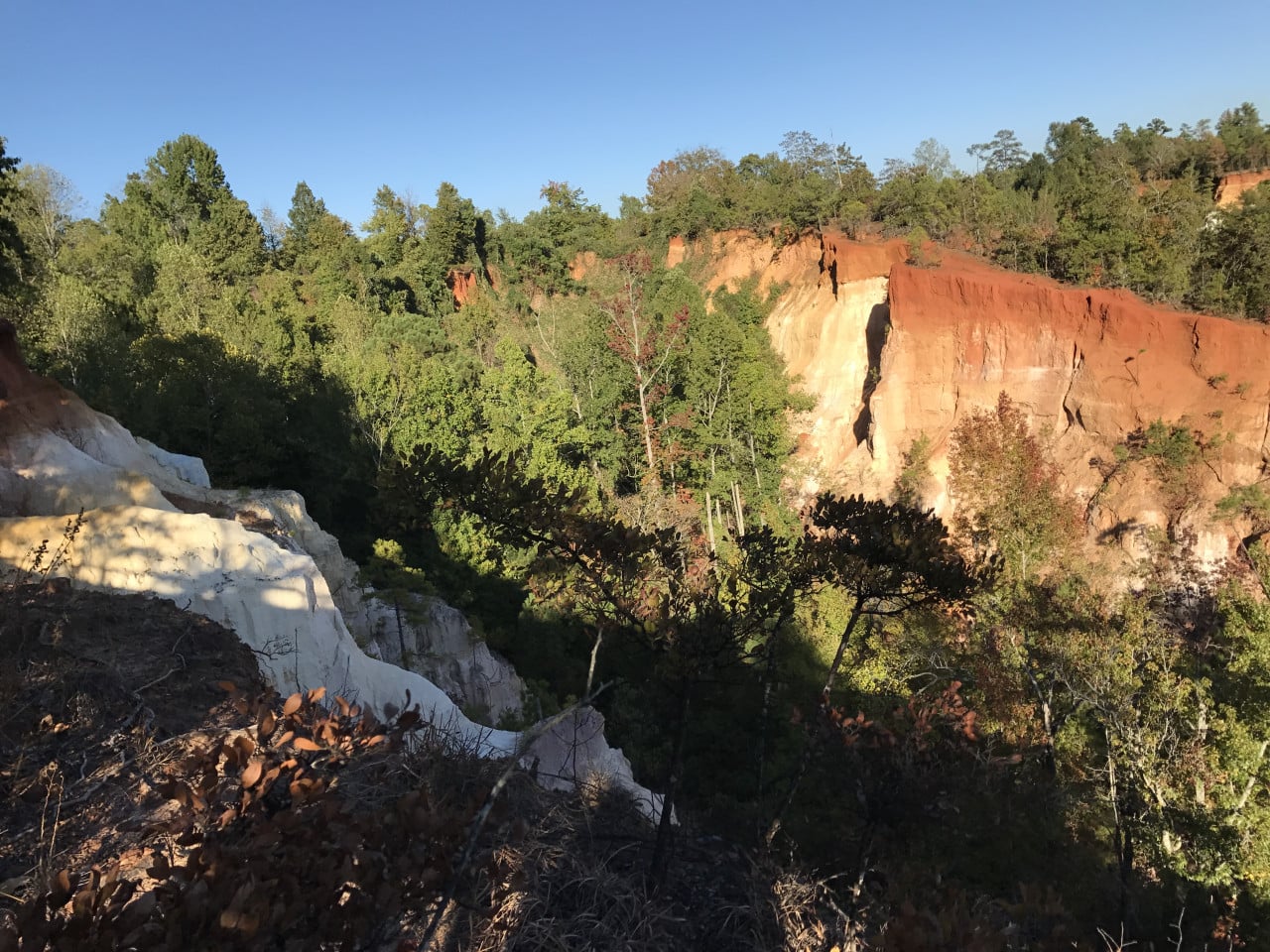 Barevné erodované stěny Providence Canyon obklopené lesem pod modrou oblohou