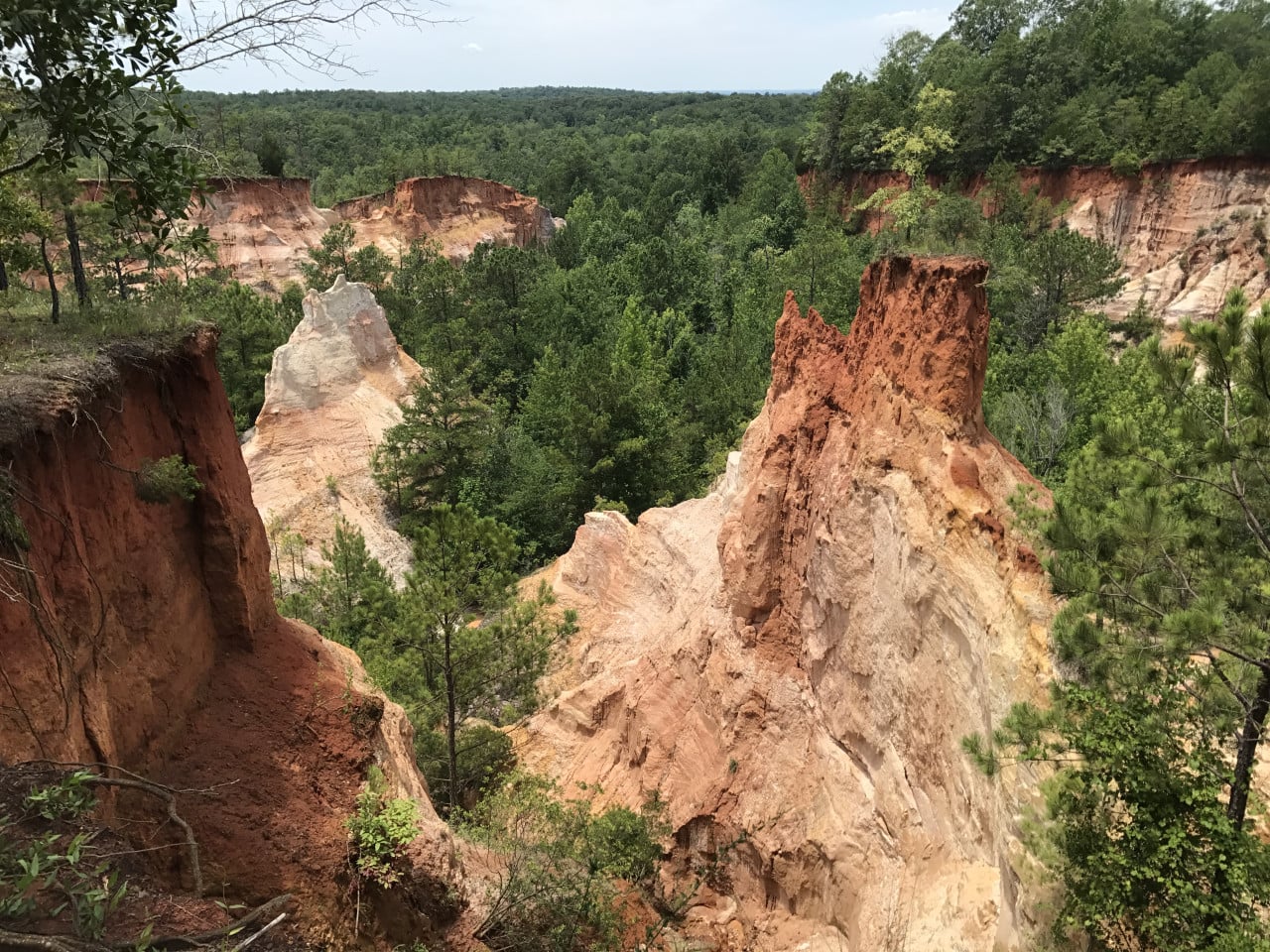 Barevné pískovcové stěny Providence Canyon obklopené hustým zeleným lesem