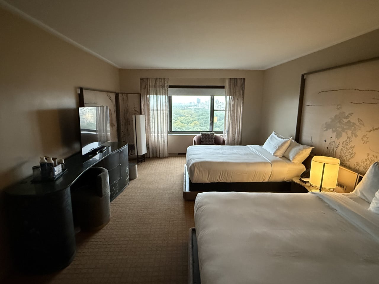 Hotelový pokoj se dvěma postelemi a výhledem na Central Park.