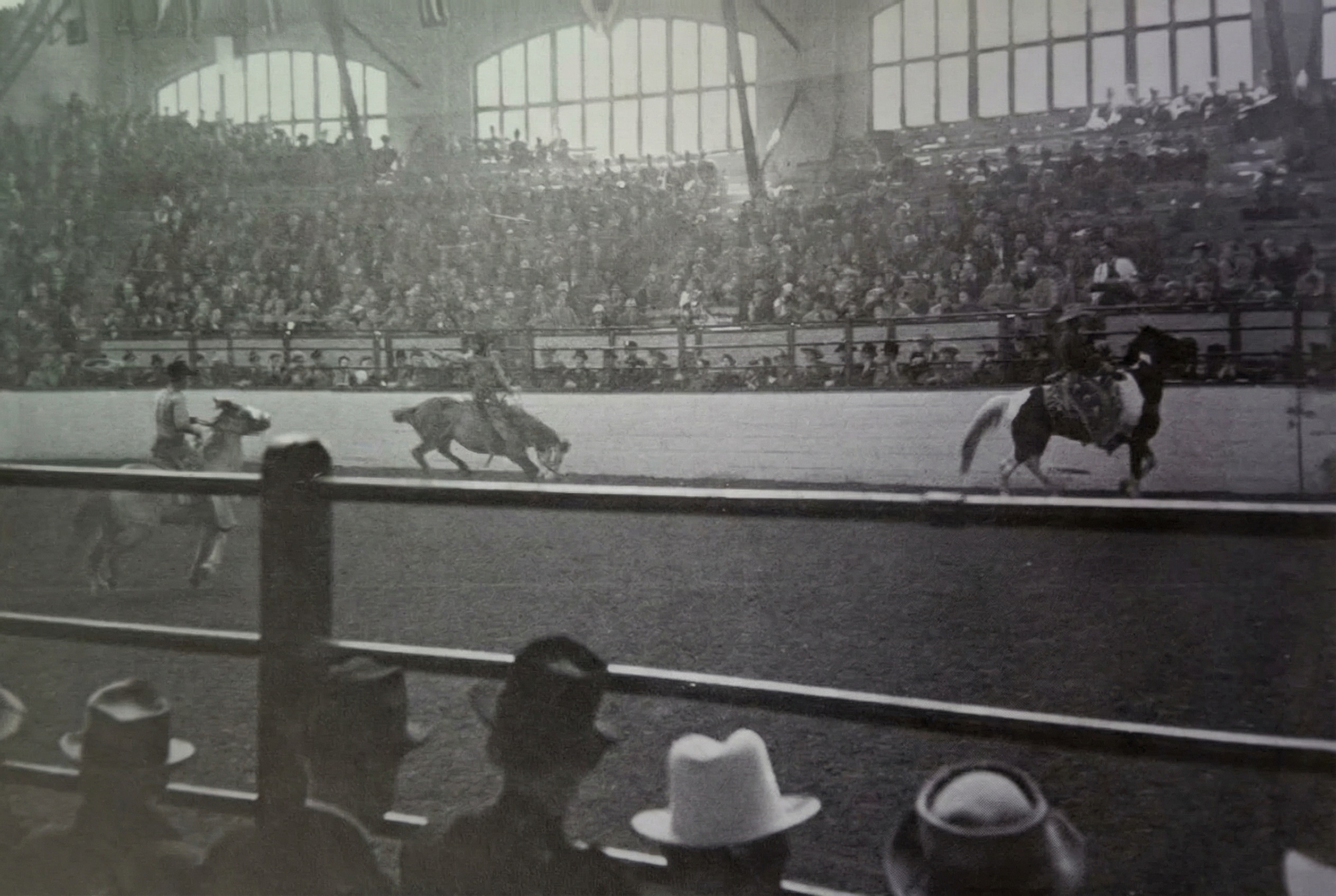 Kovbojové při představení v aréně.