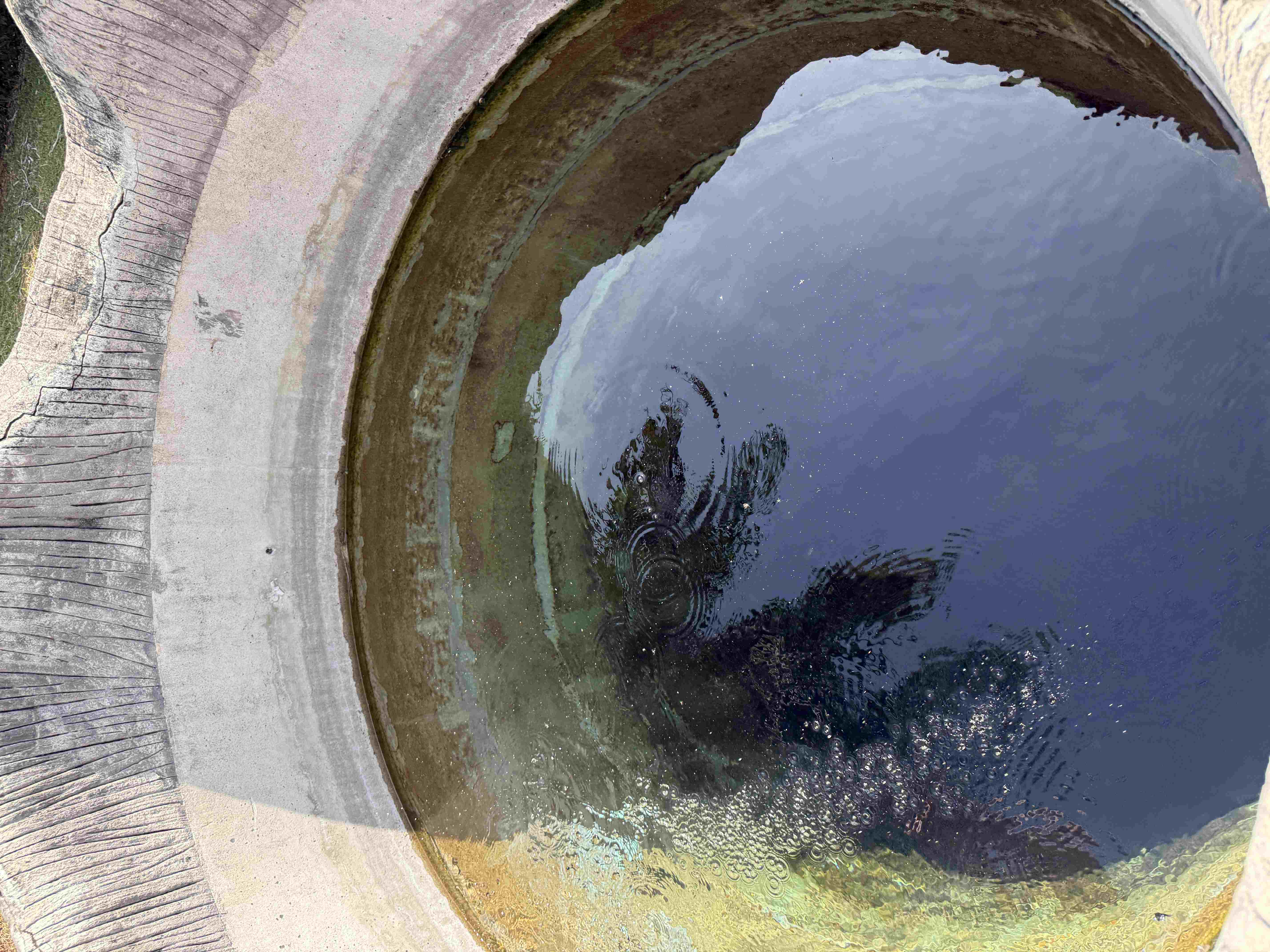 Kruhová betonová nádrž s tmavou vodou, bubliny a odraz stromů