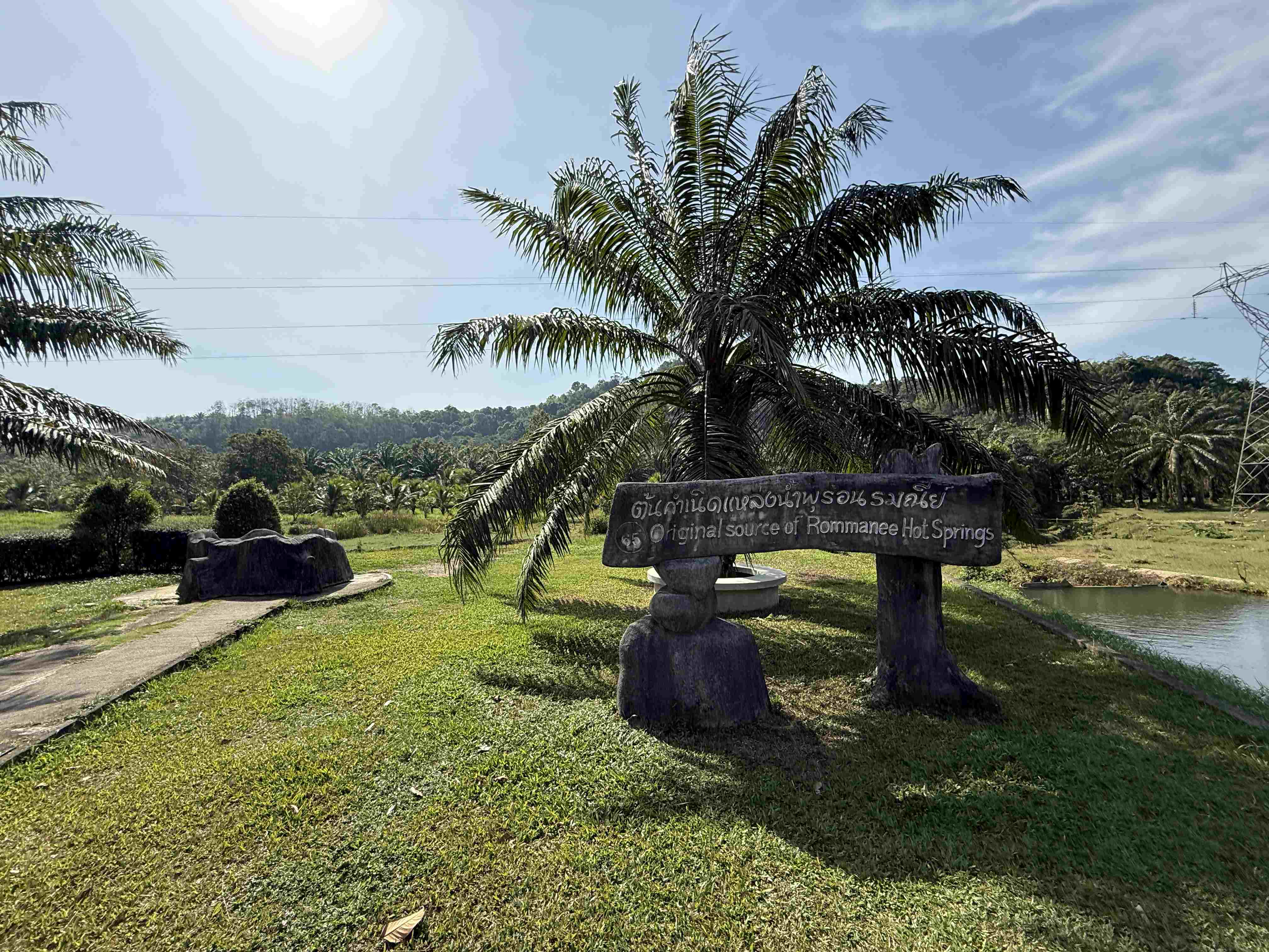Palma u dřevěné cedule Original source of Rommanee Hot Springs v parku.