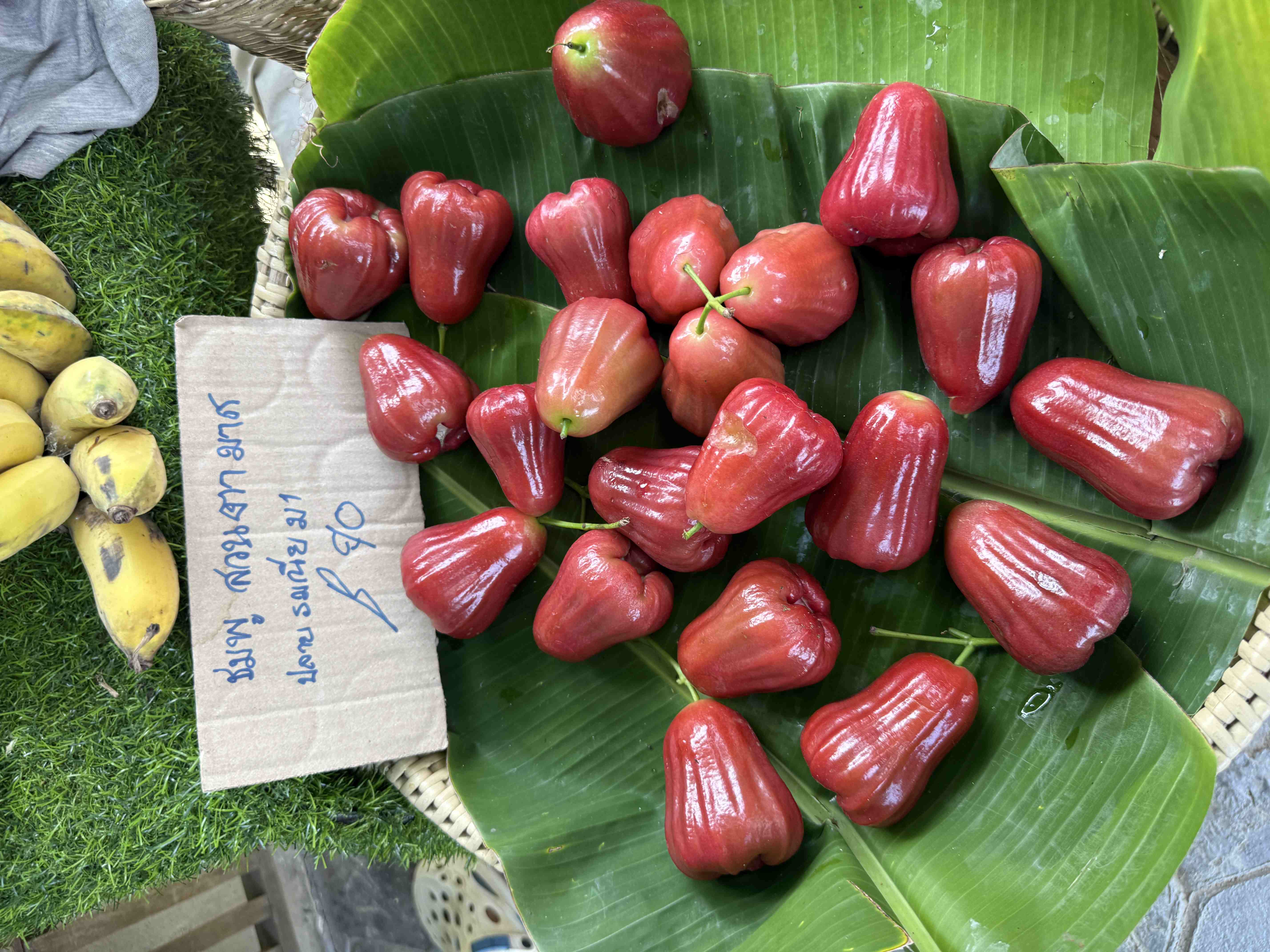 Červené voskovky (wax apple) na banánových listech, cedulka thajsky, ฿40