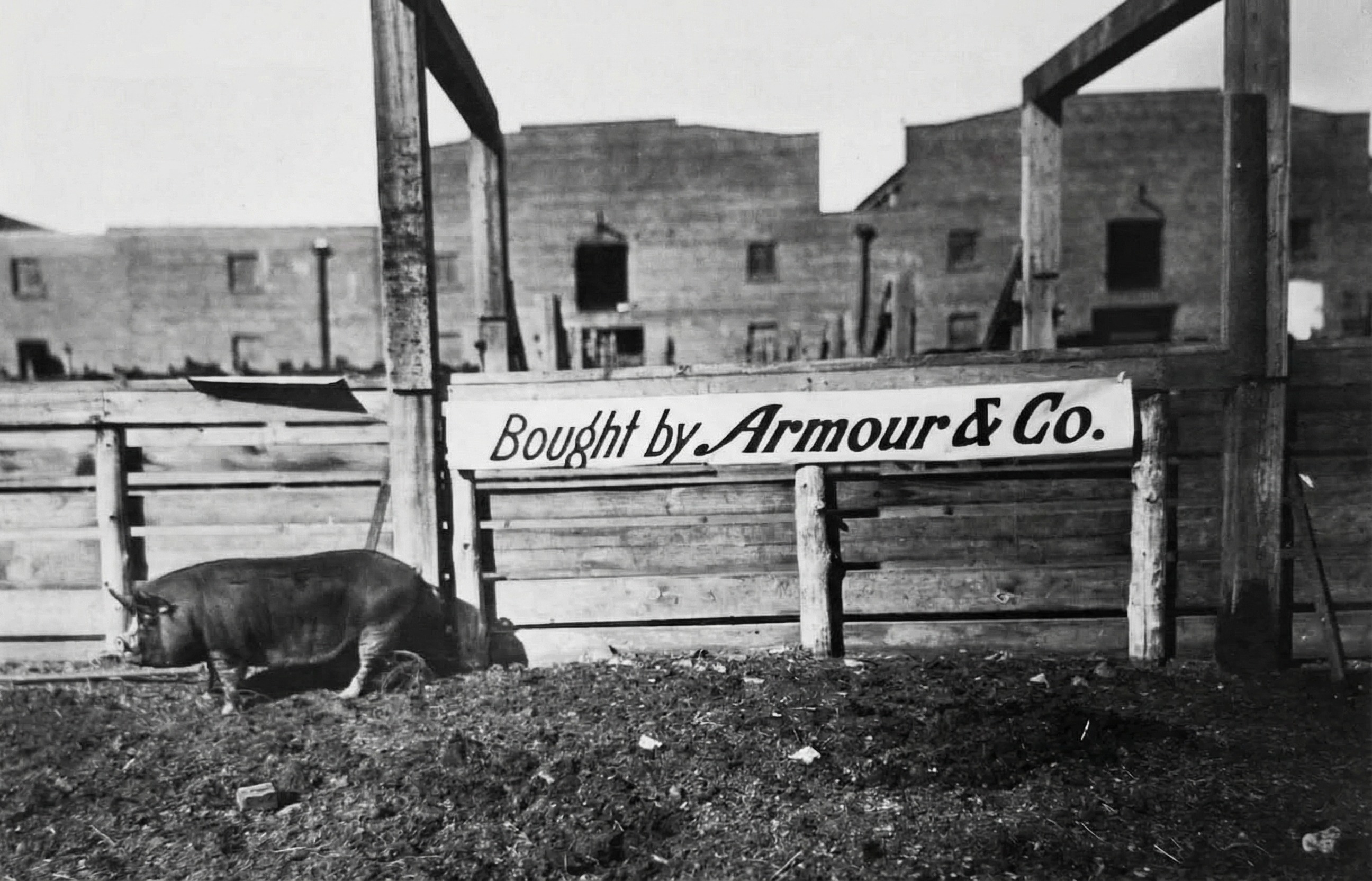 Fort Worth: Část pátá- Zábava na výstavě dobytka