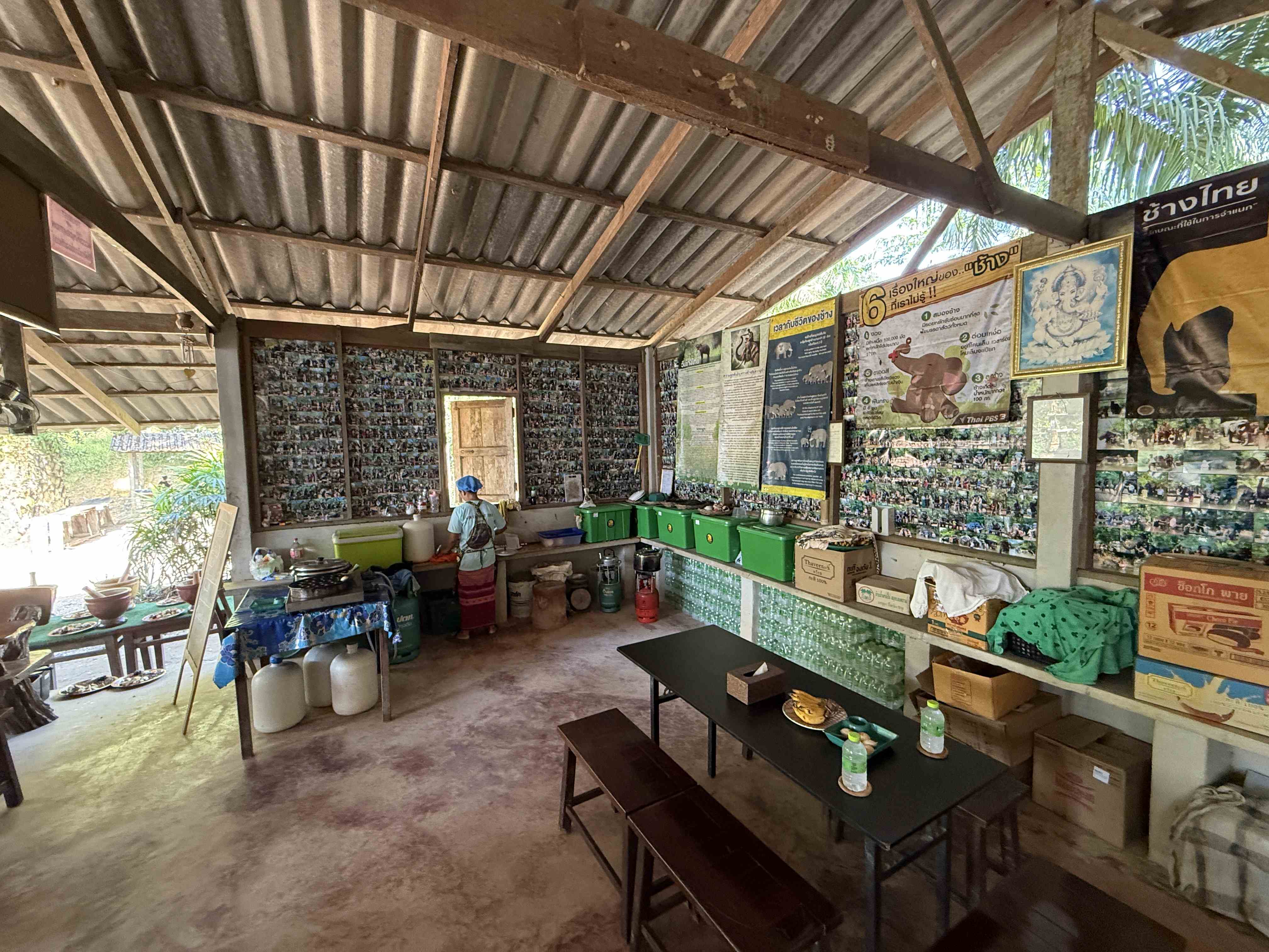 Interiér sloní farmy: kuchyň s osobou u dřezu, plakáty 6 a ช้างไทย.