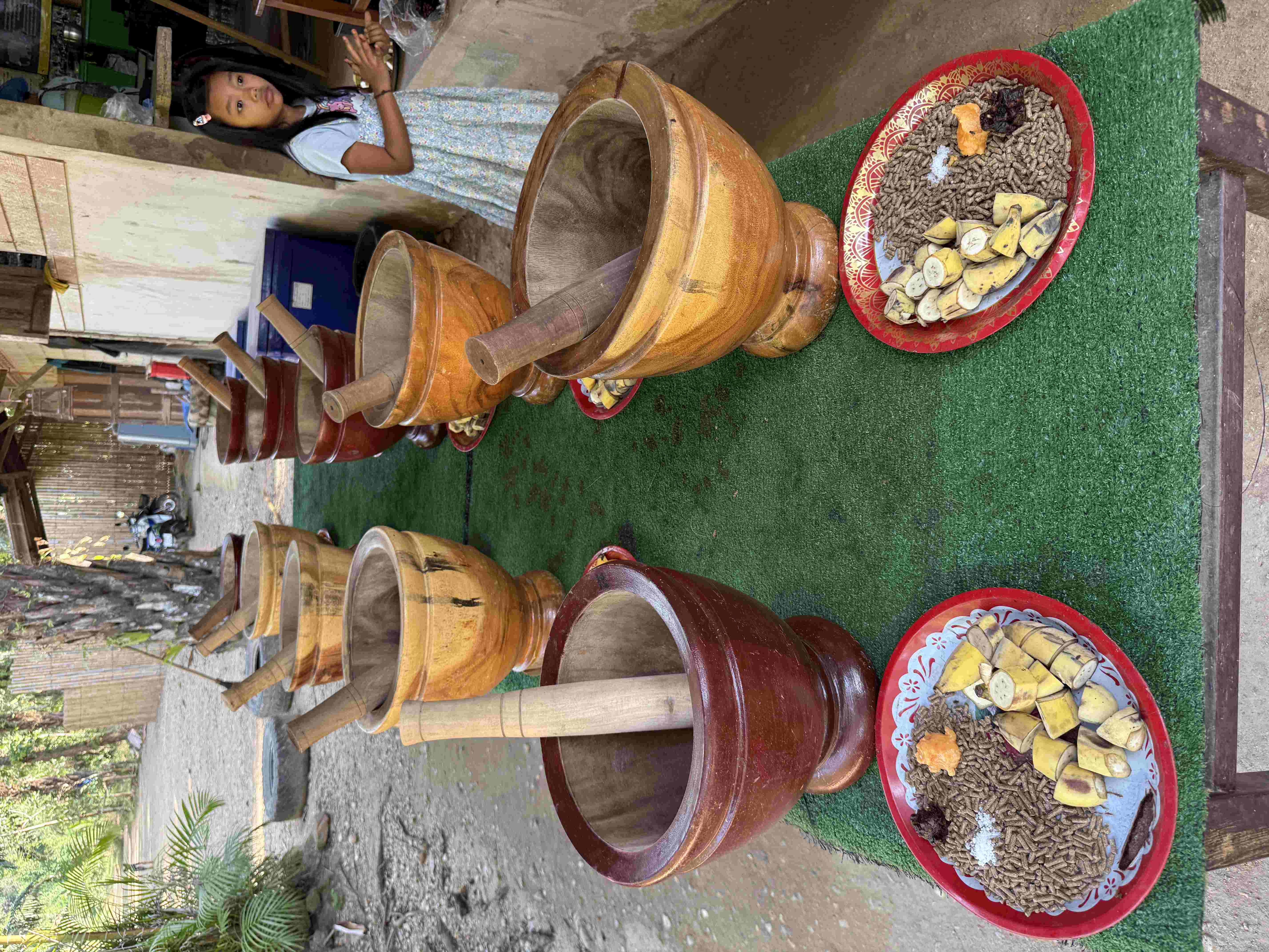 Řada dřevěných hmoždířů s tlouky a talíře s krmením; stojící dívka vpravo