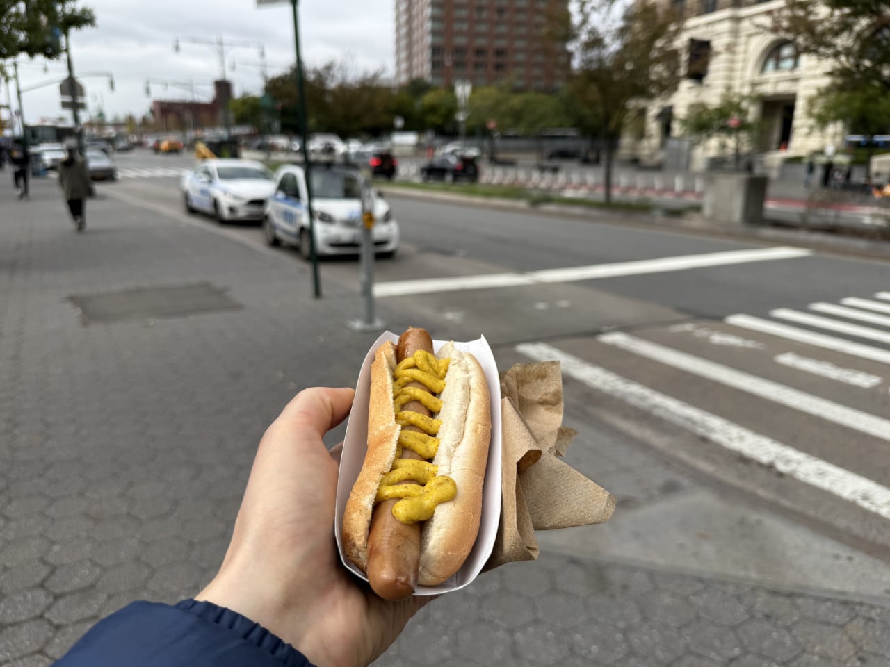 Ruka drží hot dog na newyorské ulici u přechodu a zaparkovaných aut.