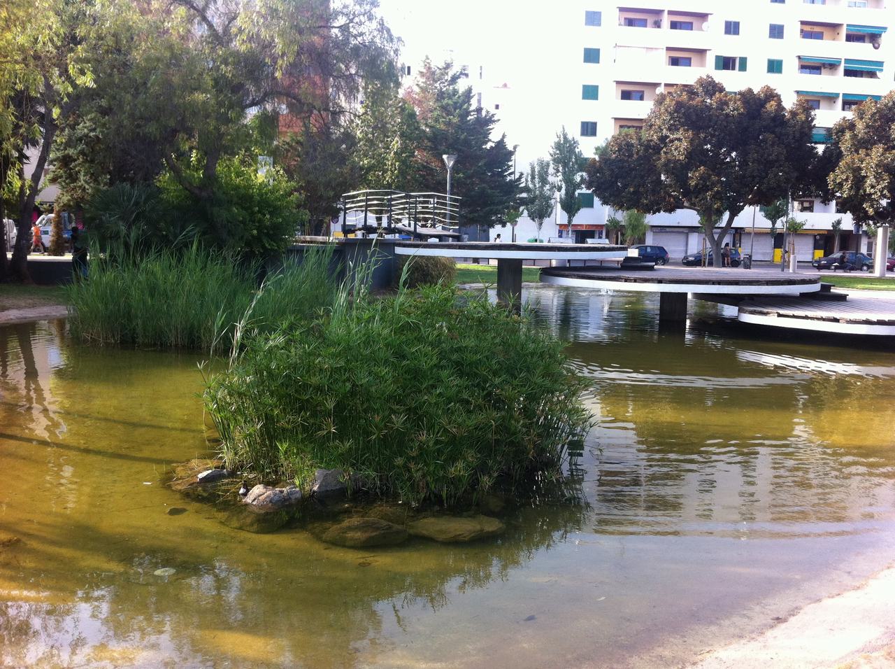 Jezírko s ostrůvkem rákosí, dřevěným mostkem a domy v pozadí