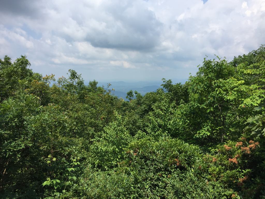 Zalesněné horské svahy a vzdálené hřebeny pod zataženou oblohou