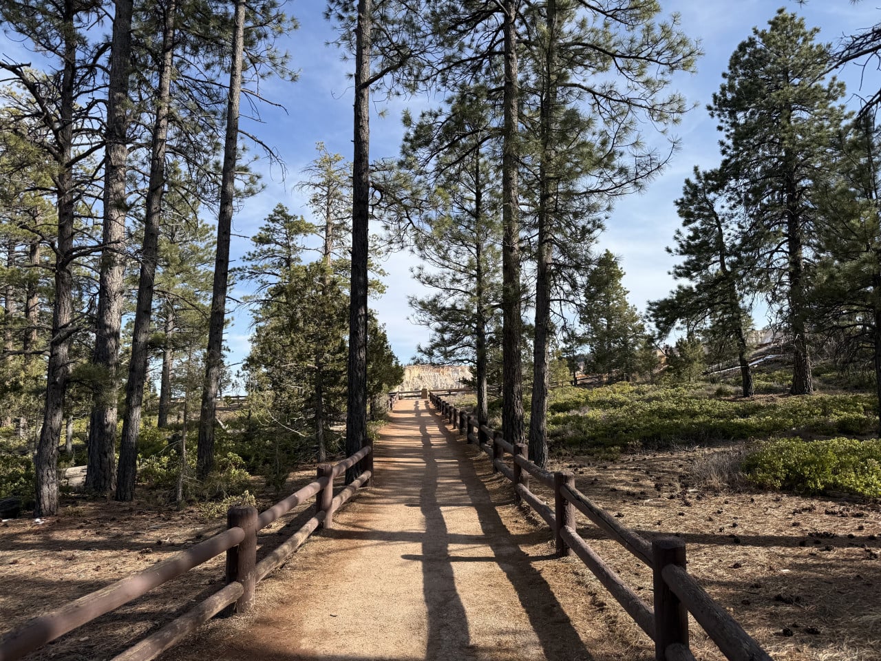 Široká stezka s dřevěným zábradlím mezi borovicemi, v pozadí skalní hrany