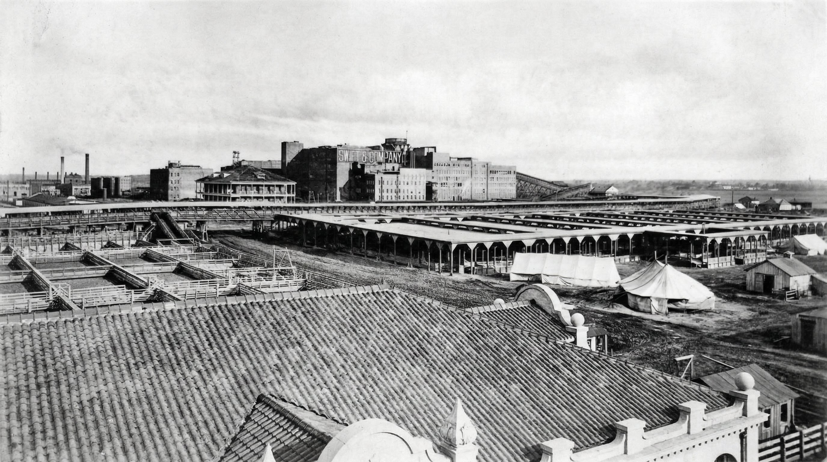 Fort Worth: Část dvanáctá - Doba rozkvětu hospodářských zvířat