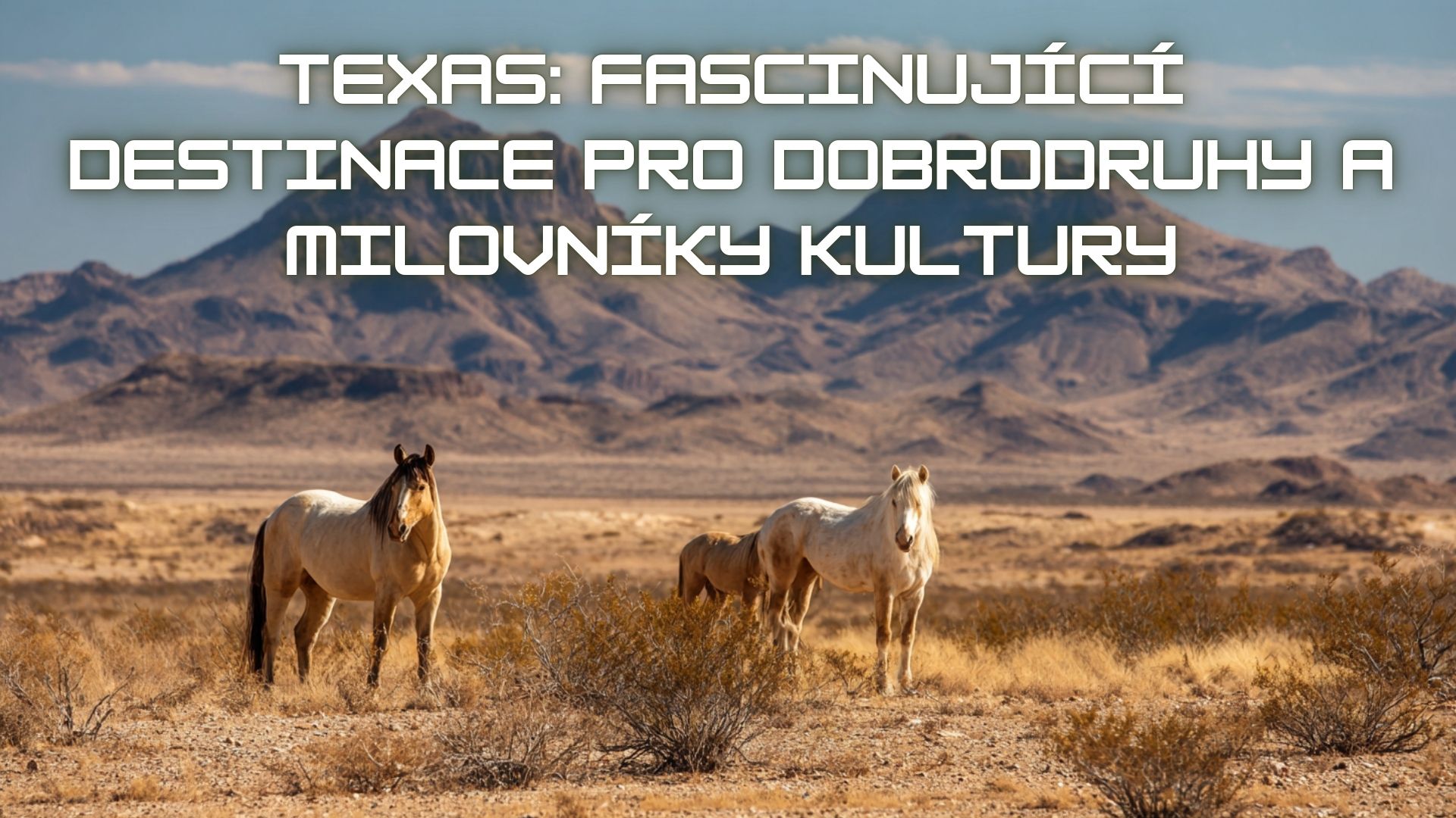 Texas: Fascinující destinace pro dobrodruhy a milovníky kultury