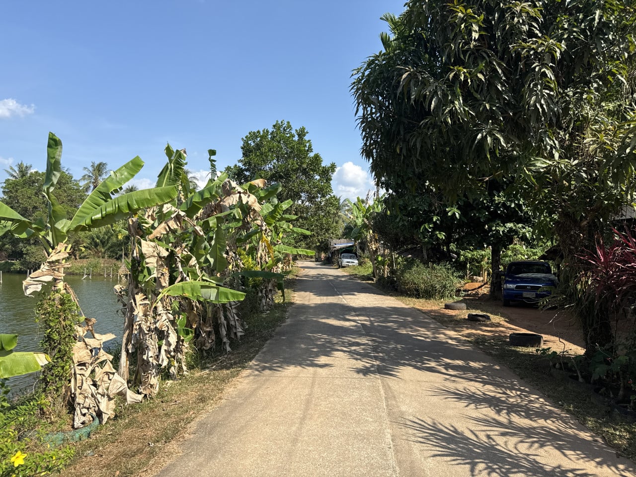 Úzká betonová cesta thajskou vesnicí, banánovníky u řeky a zaparkované auto