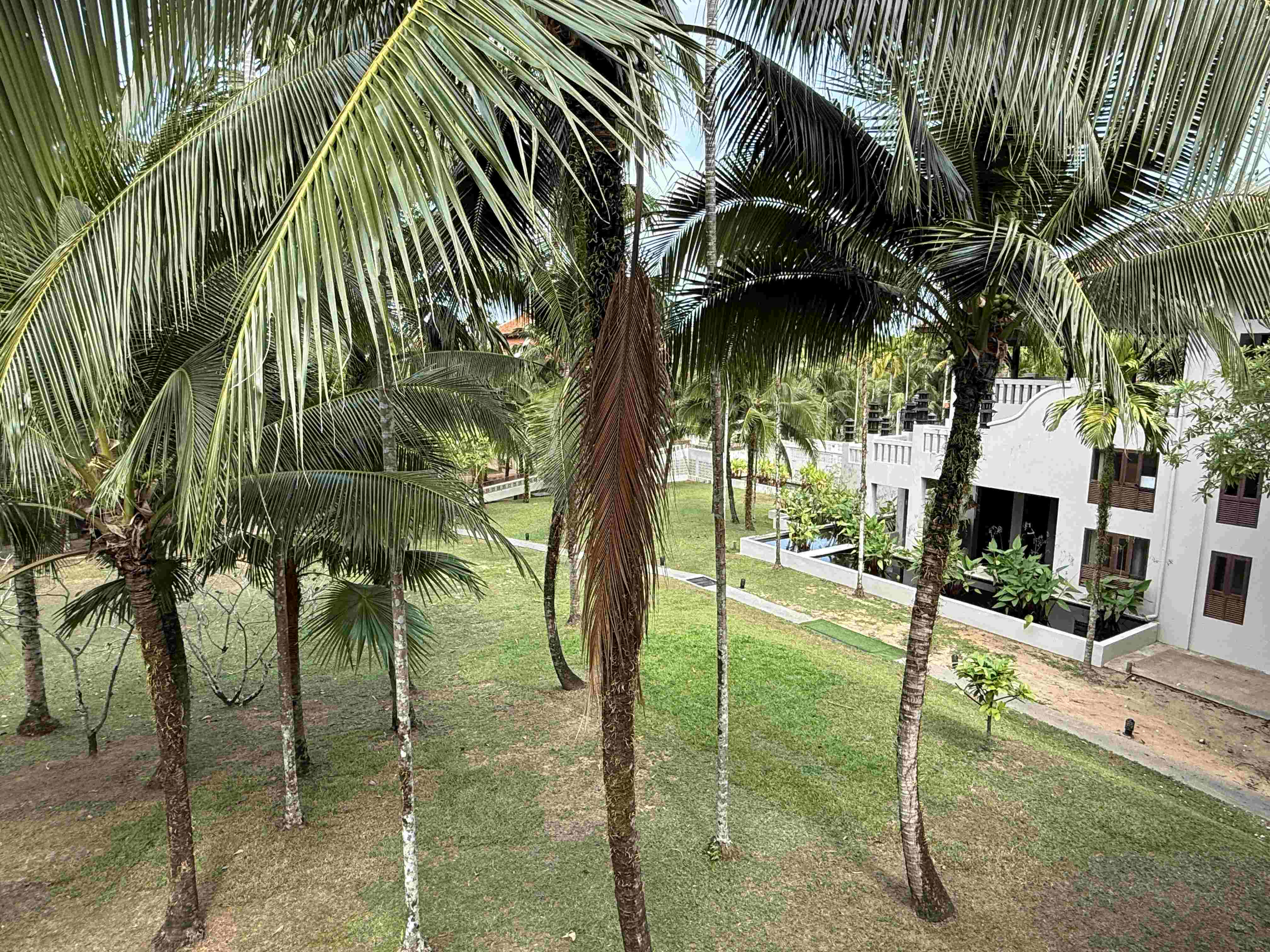 Palmy a travnatá zahrada s bílou hotelovou budovou v resortu Khao Lak Laguna