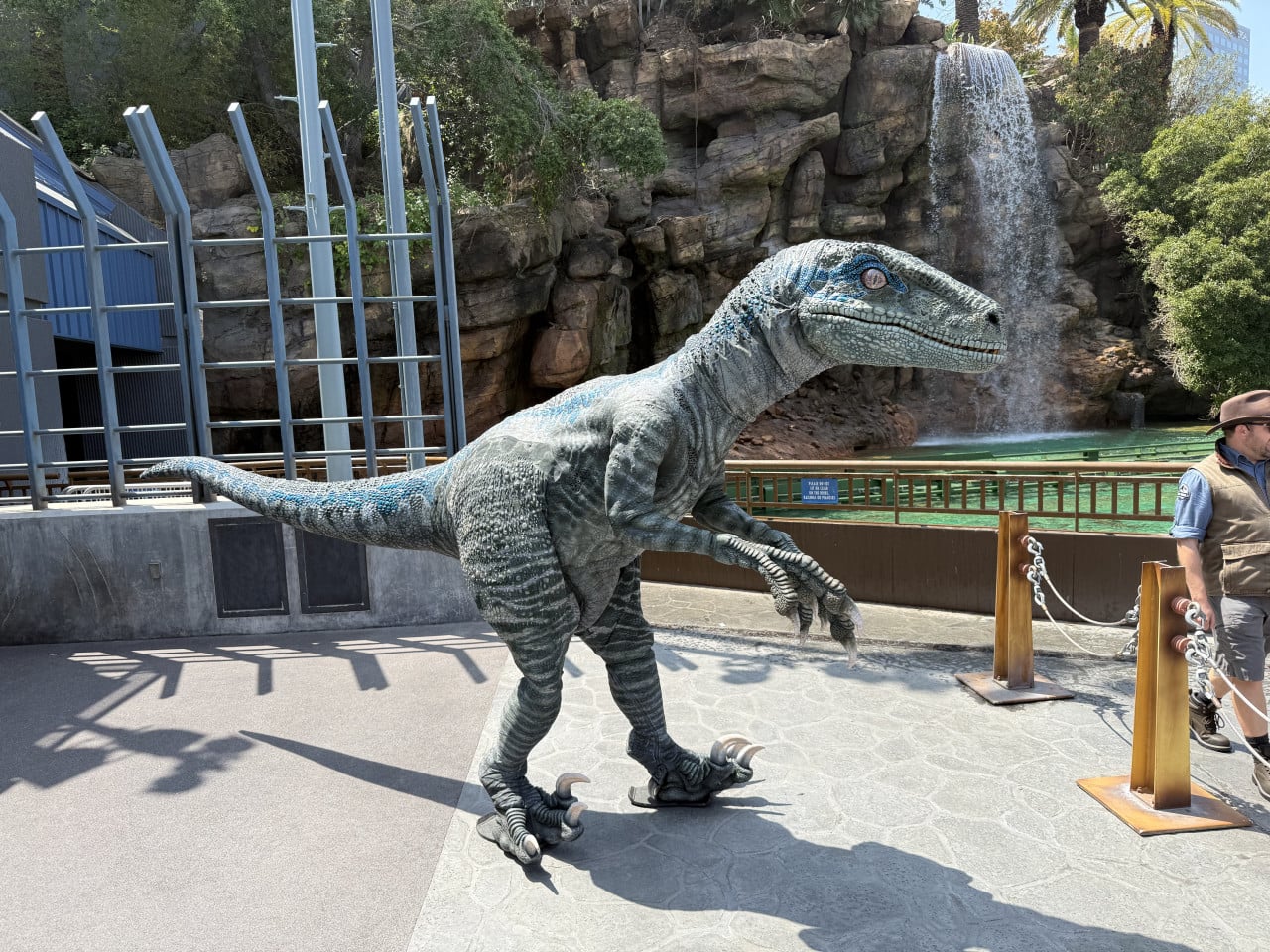 Velociraptor v Universal Studios před umělým vodopádem a skalami.