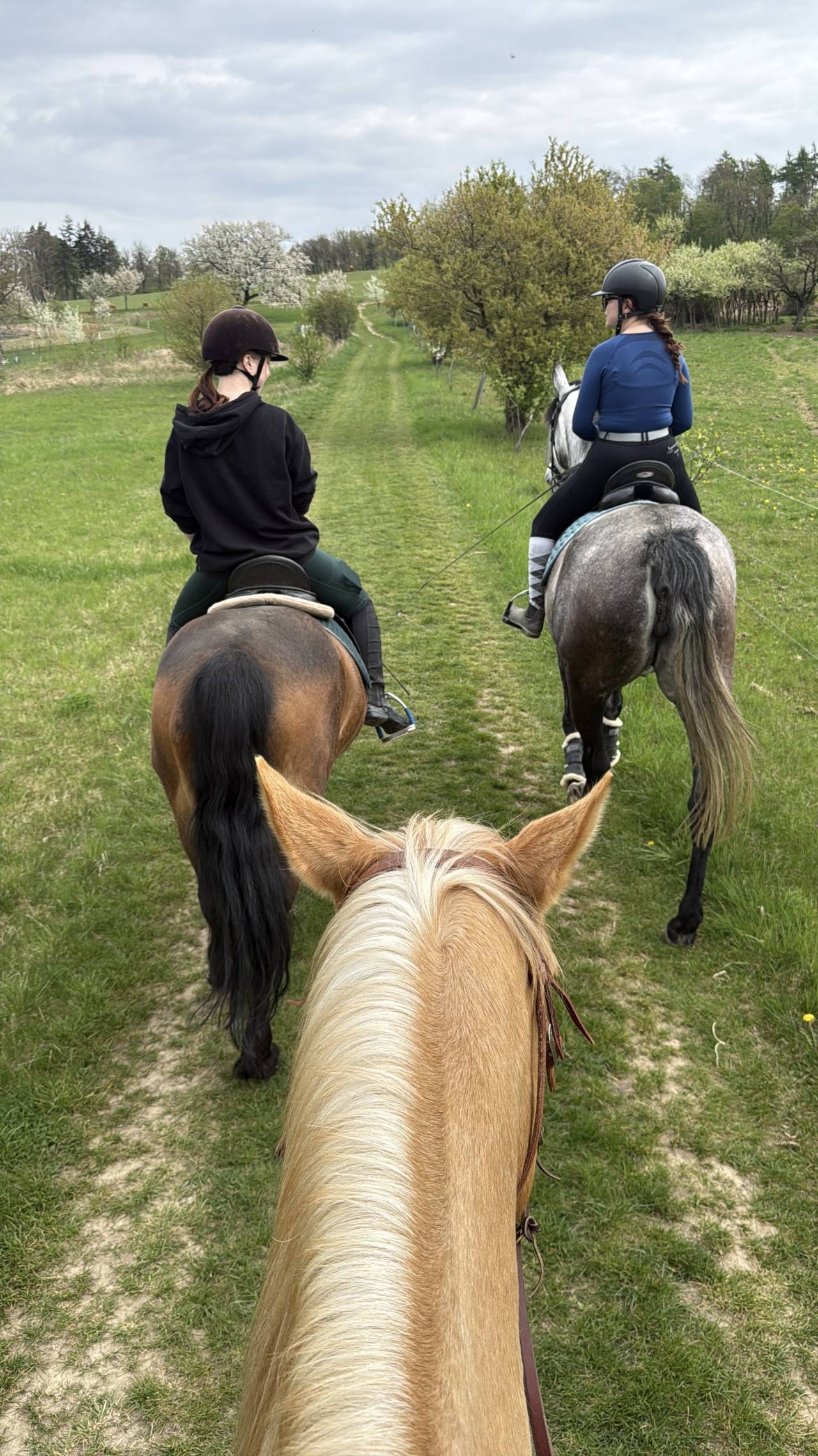Pohled z koňského sedla na dvě jezdkyně na travnaté cestě v krajině.