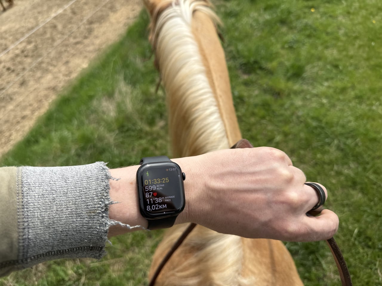 Pohled z koně na ruku s hodinkami během jízdy po louce, krásný den.