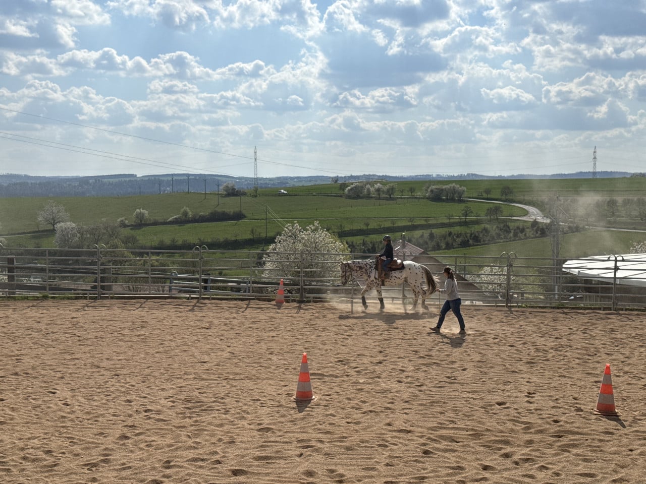 Výcvik koně s jezdkyní v písečné aréně na venkově