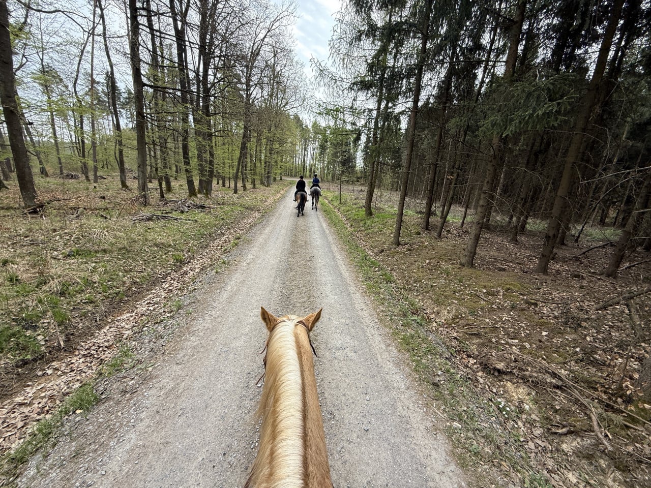 Výjížďka na koních v Hostěnicích u Brna: Našli jsme novou cestu a zažili jeden z nejlepších jezdeckých dní letošního jara