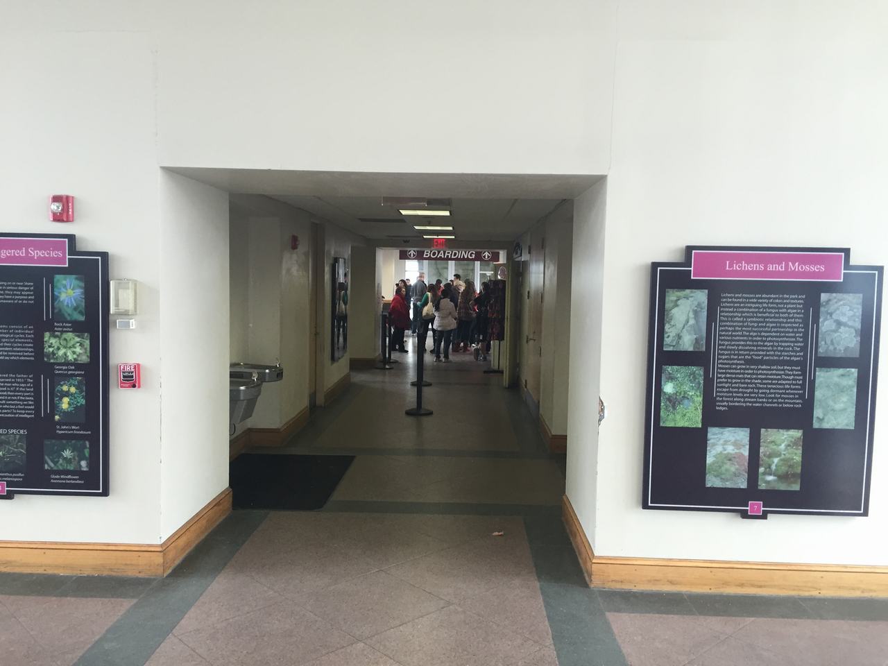 Chodba s frontou lidí, cedule BOARDING, panely Lichens and Mosses a Endangered Species