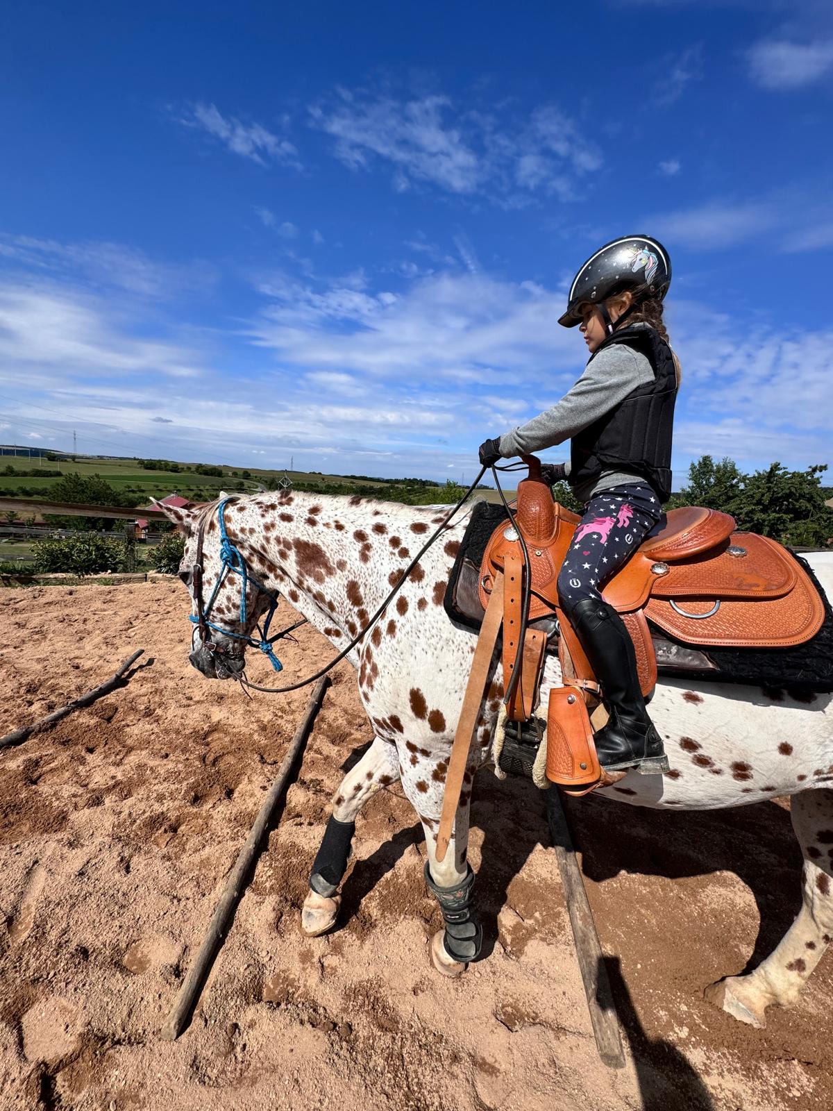 Dívka v helmě sedí na strakatém koni v hnědém westernovém sedle na pískové jízdárně