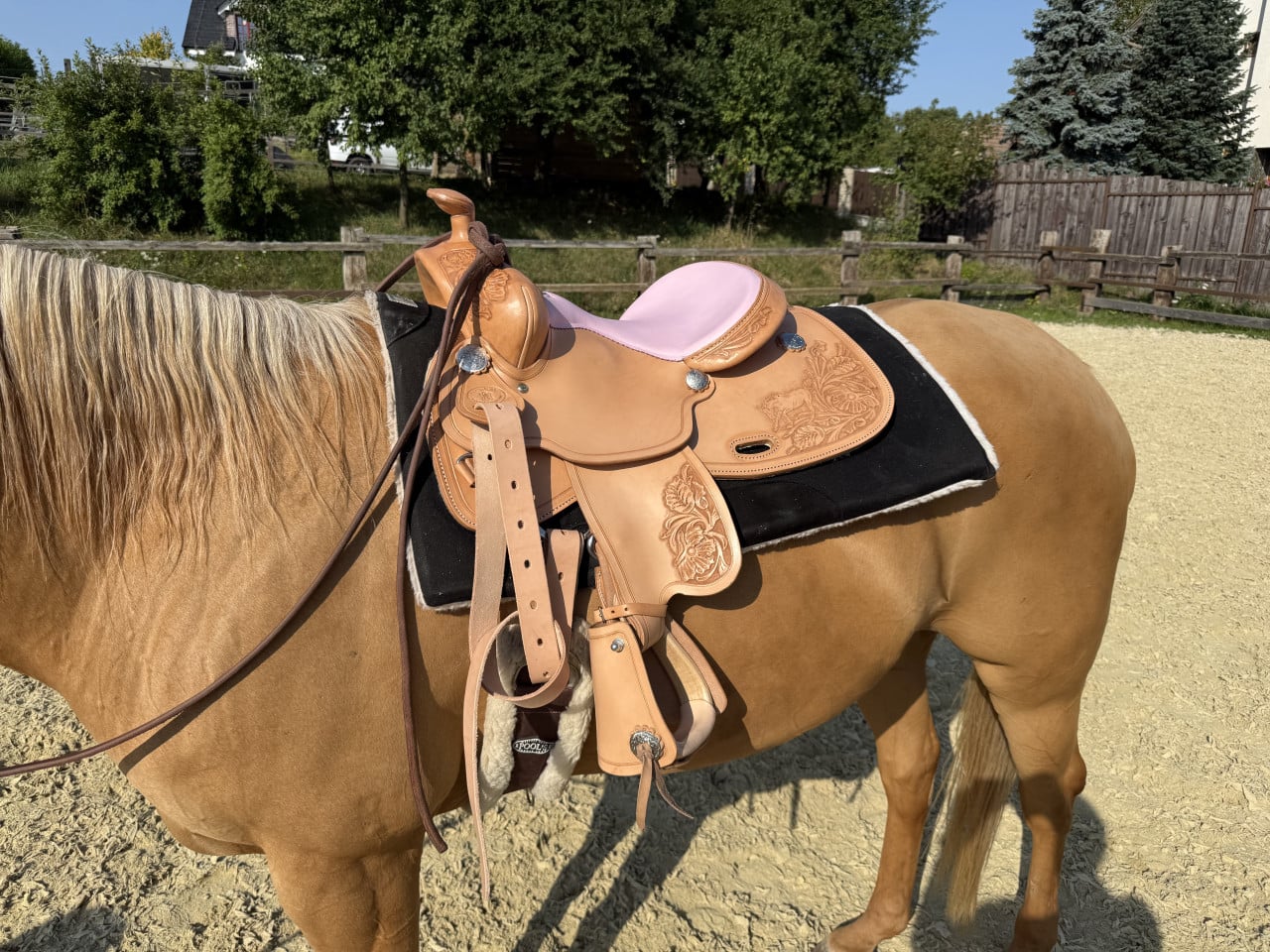 Světlé westernové sedlo s růžovým posedlím na koni, černá dečka.