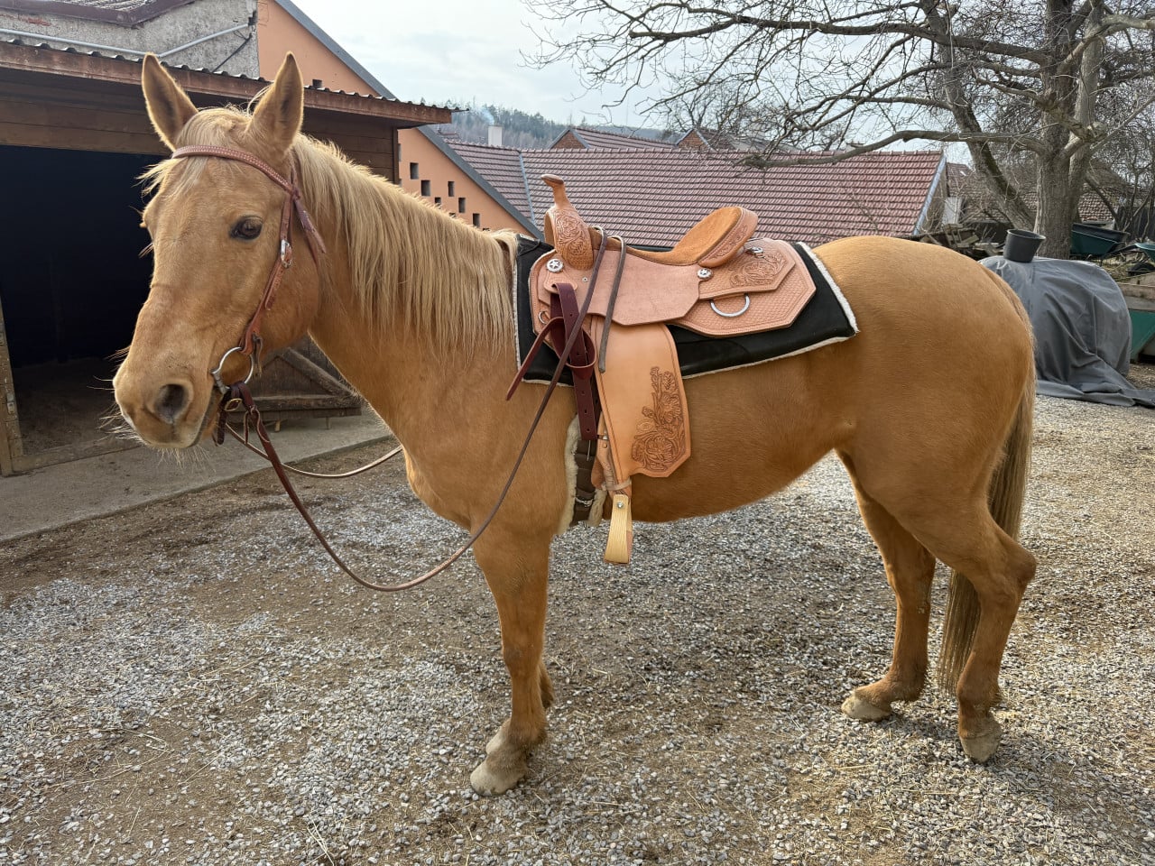 Jak jsem si nechal vyrobit westernové sedlo na míru a proč bych to doporučil každému jezdci