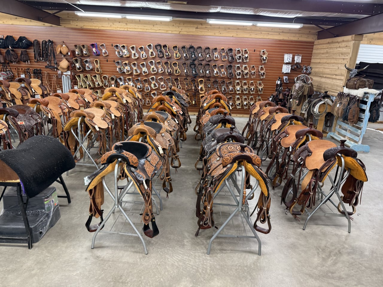 Řady westernových sedel na stojanech v prodejně, na zdi visí třmeny