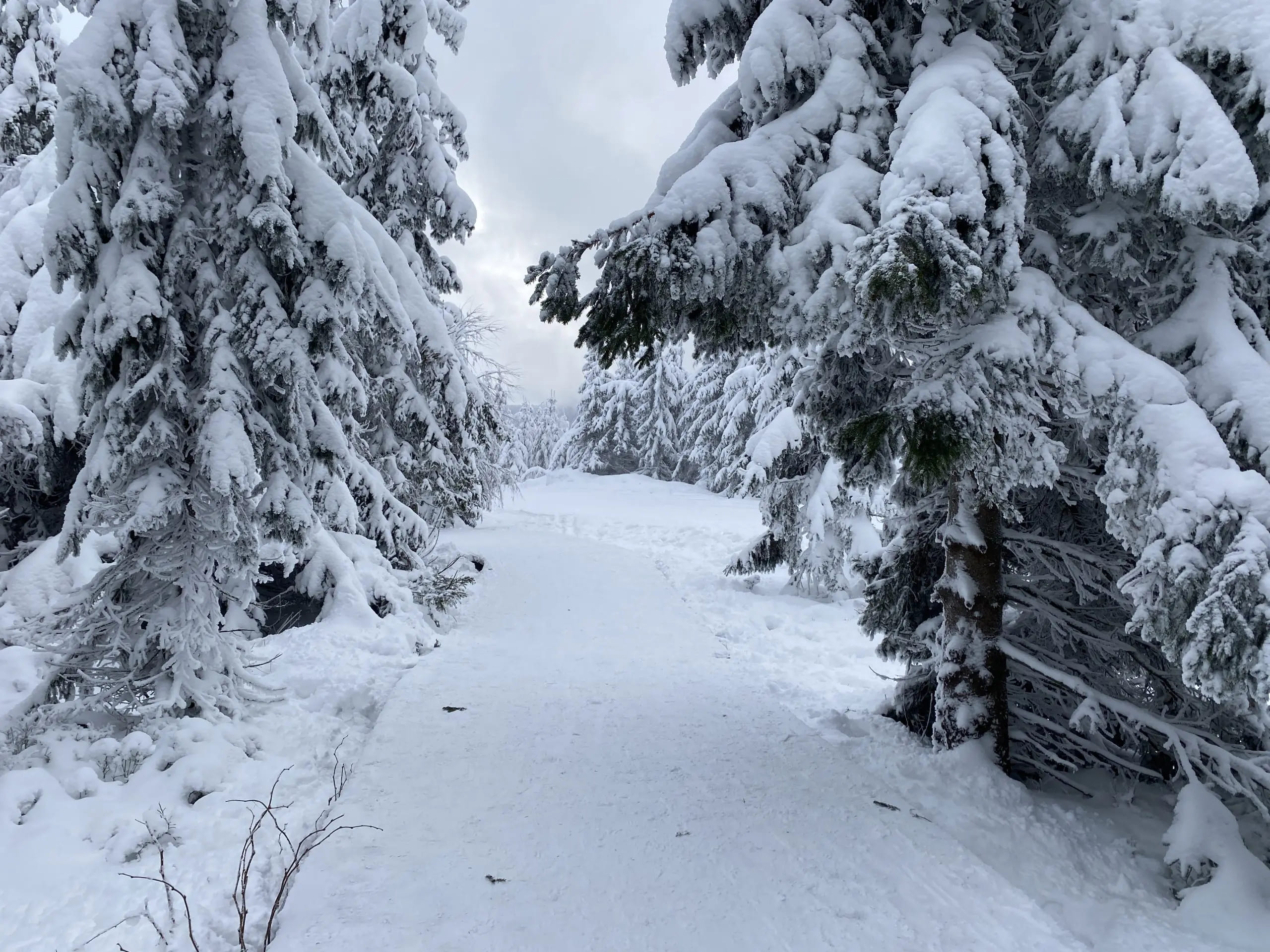 zasnezena-cesta-na-vrcholek-vyhlidky-stezky-v-oblacich1-scaled